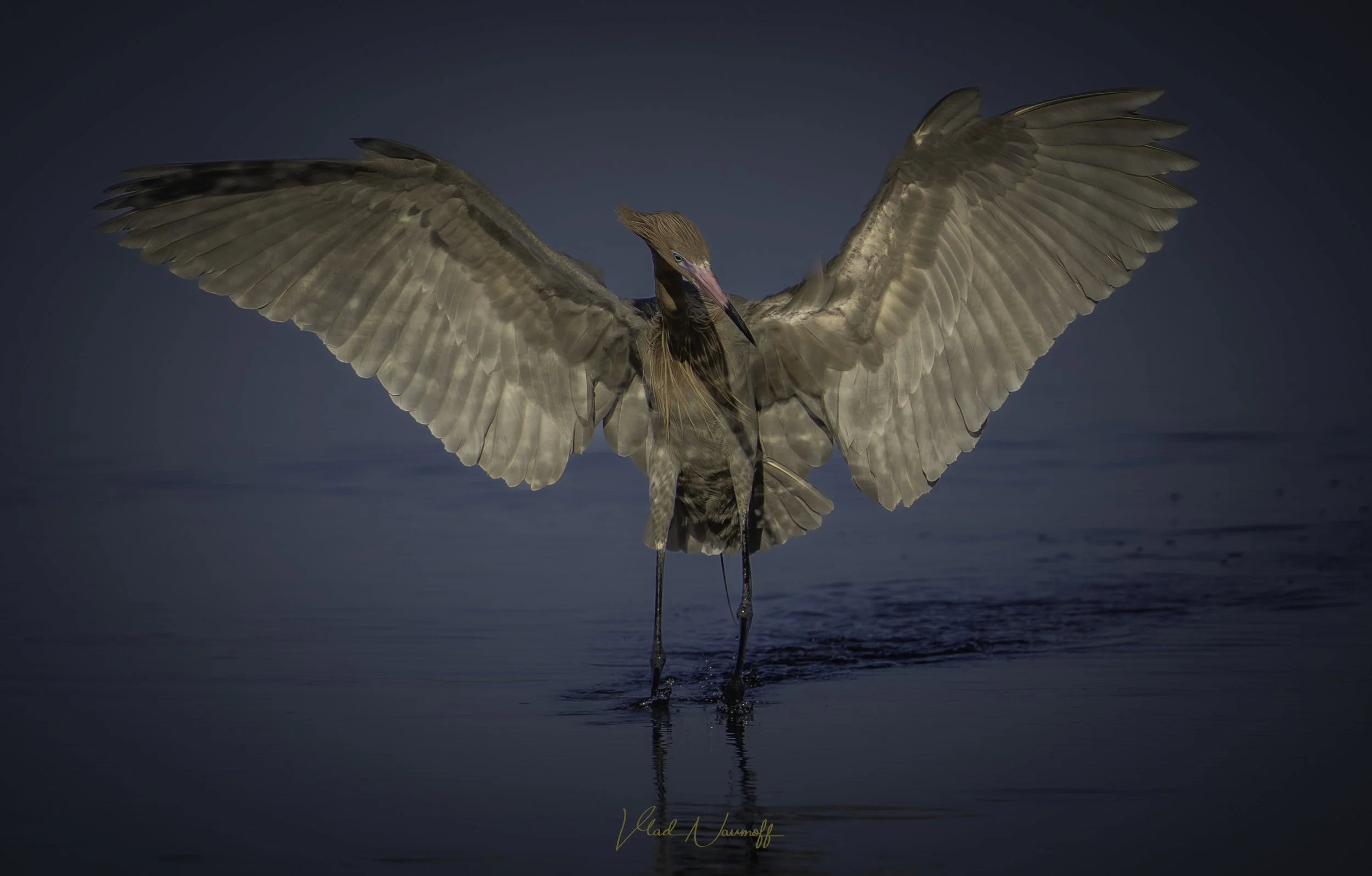 DSC00076-Edit-Edit.jpg
