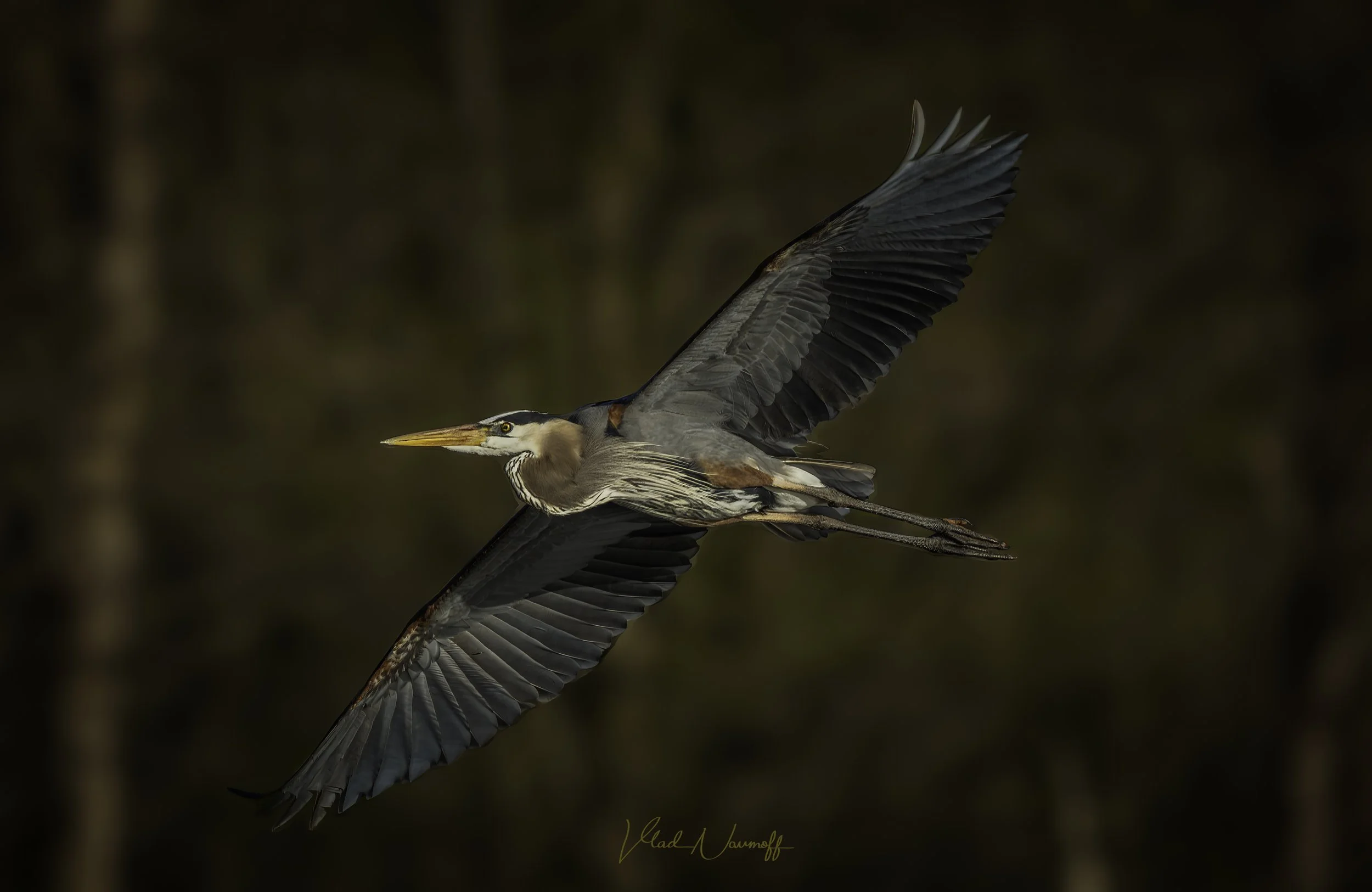 DSC02578-Edit-Edit-Edit.jpg