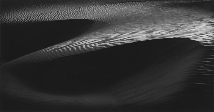 dunestudy.jpg