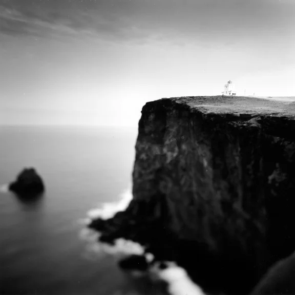 LRDyrholaey,Iceland.jpg