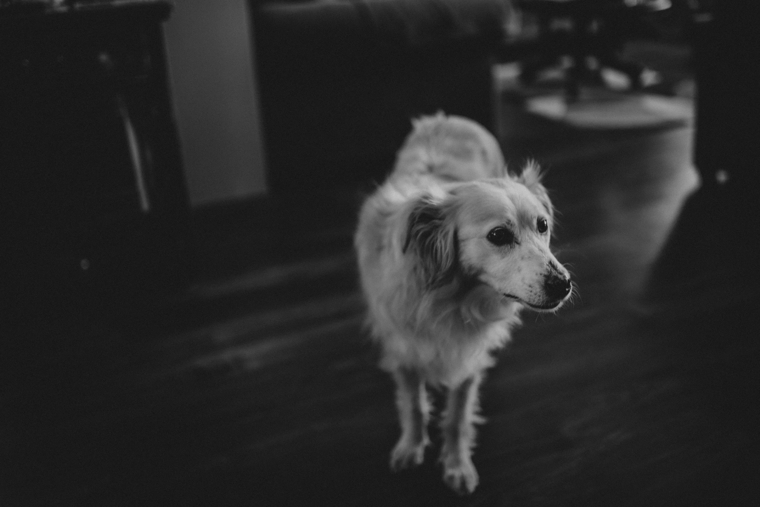 5D3_9784.jpg