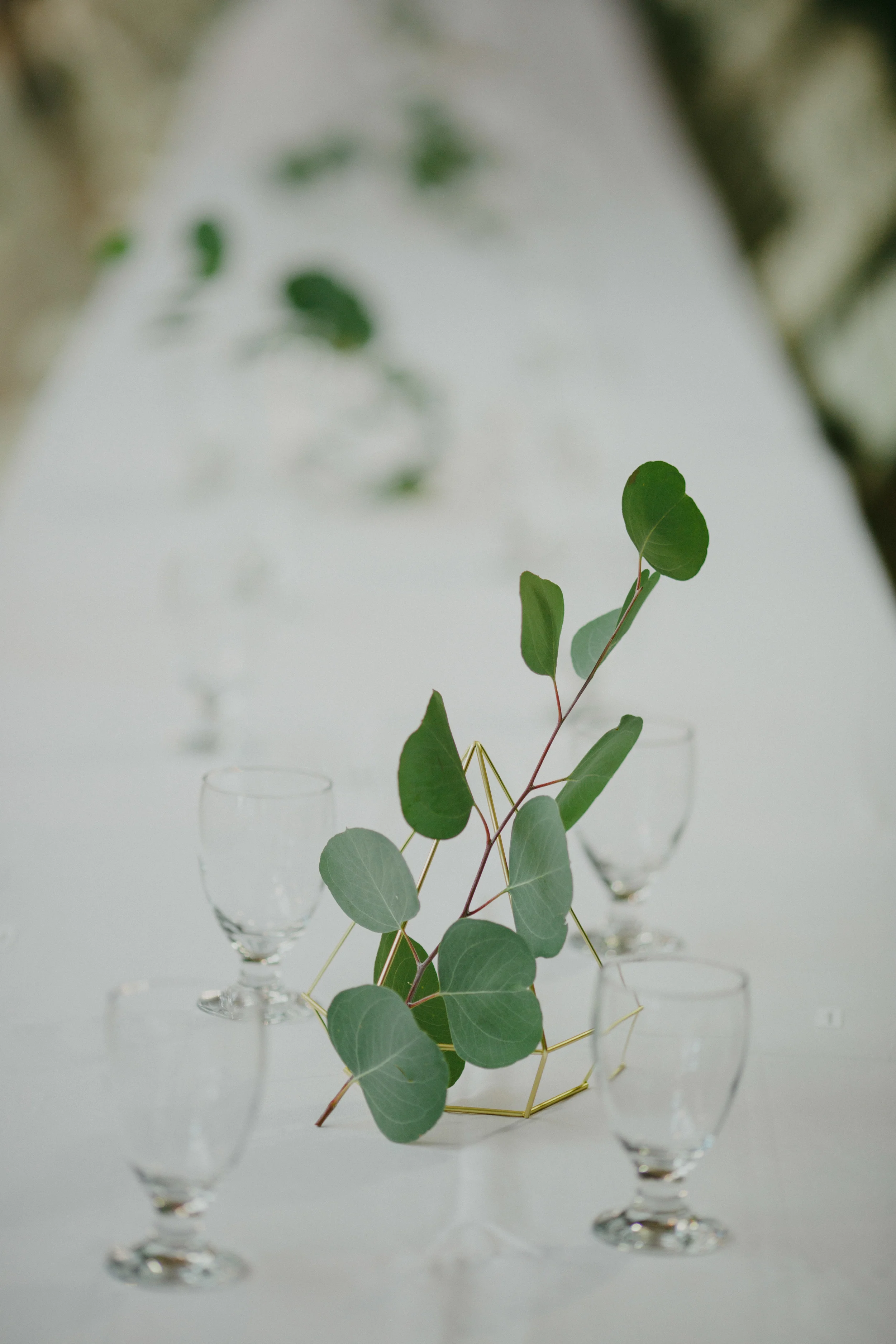 5D3_7947-2.jpg