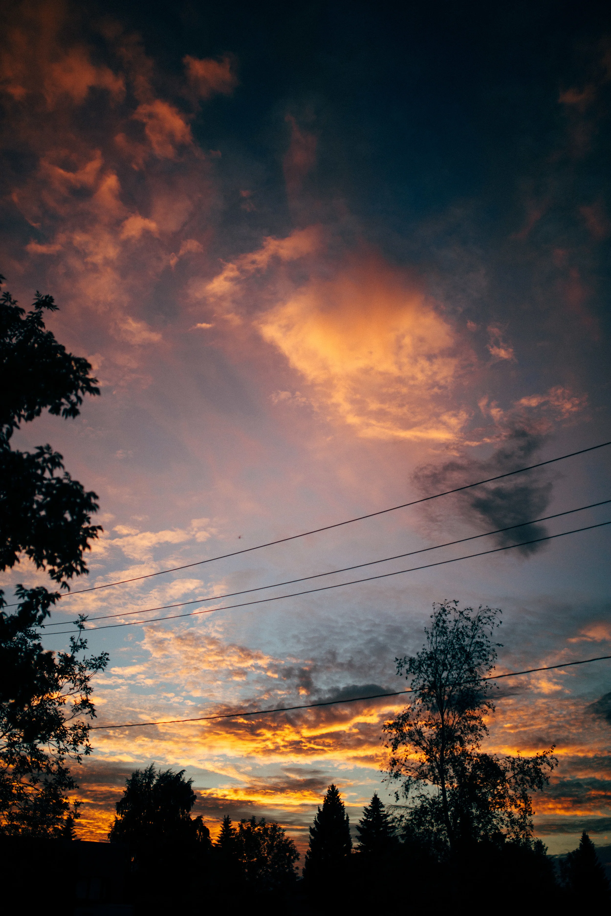 5D3_4343.jpg