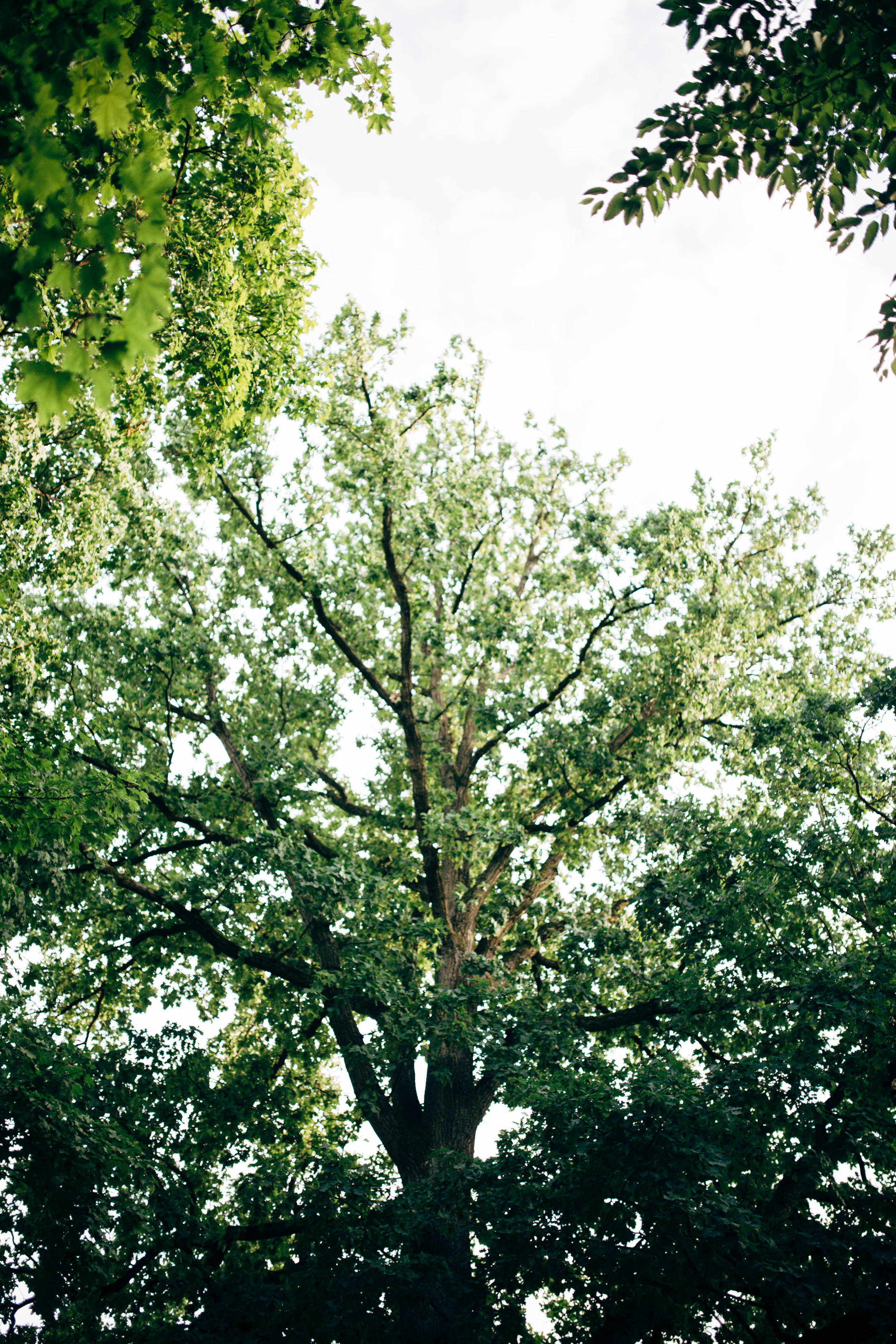 5D3_7019.jpg