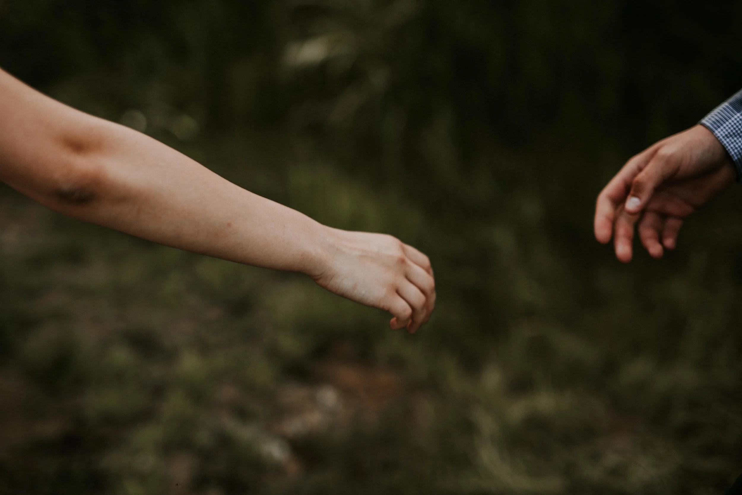 5D3_5951.jpg
