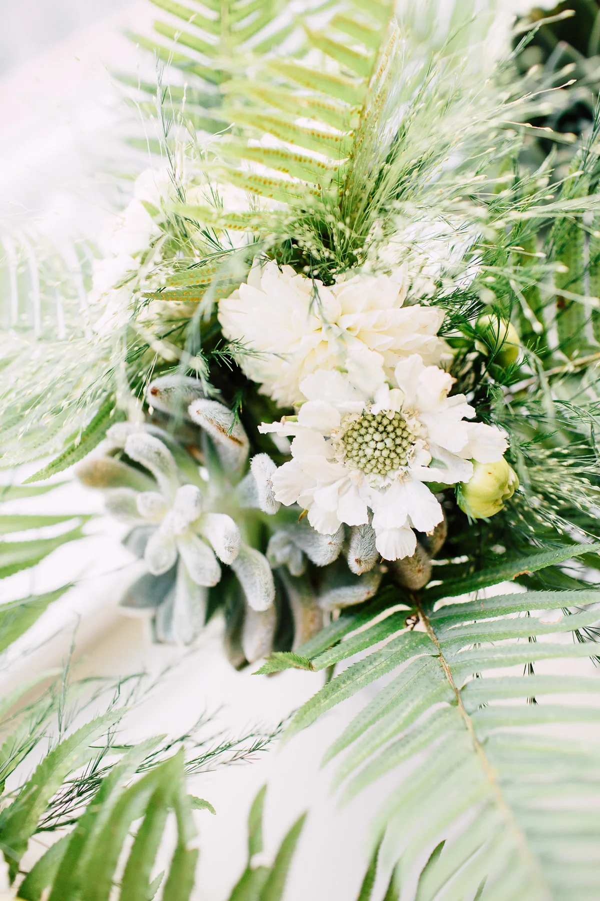  Laura + Jac / Photography by  anjalipinto.com  