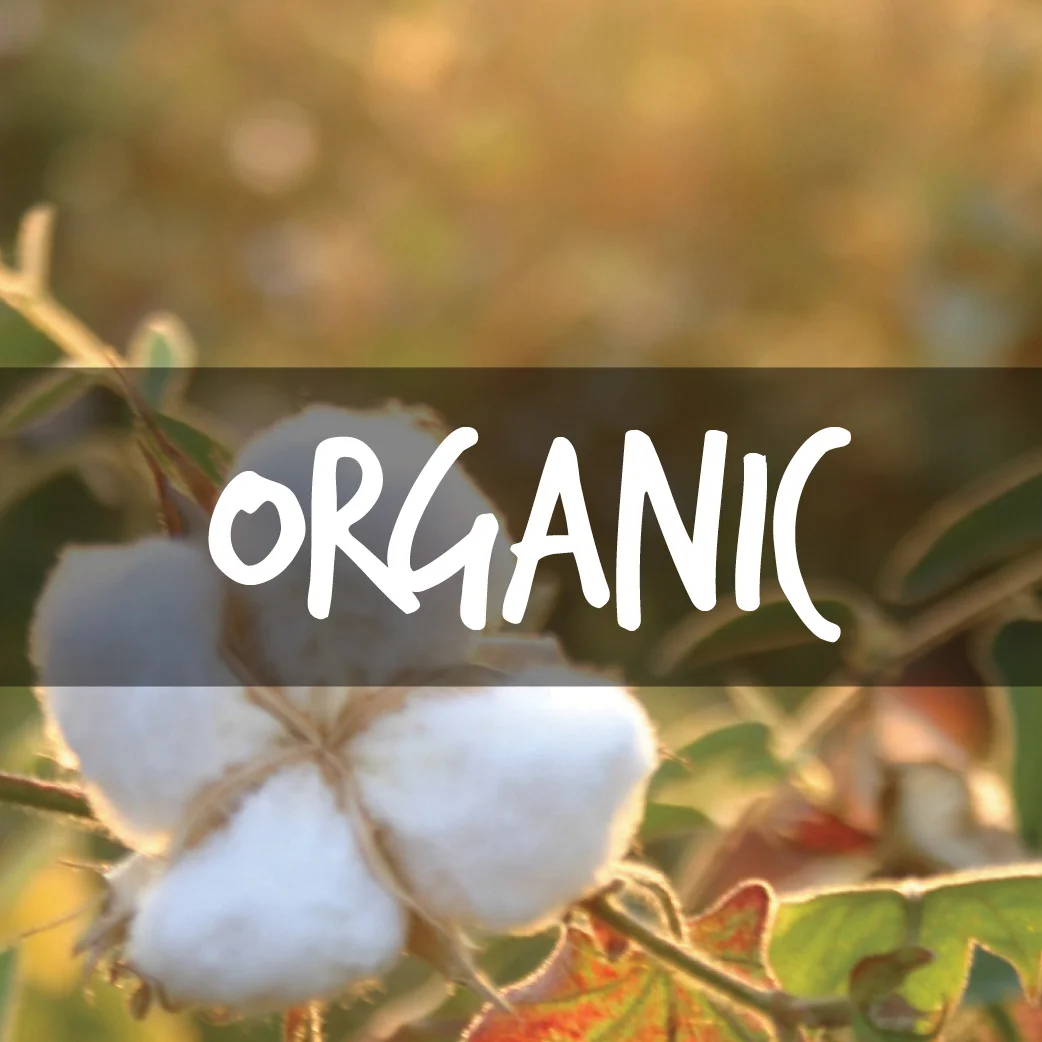 why-organic.jpg