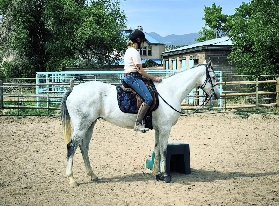 mercuryundersaddle.jpeg