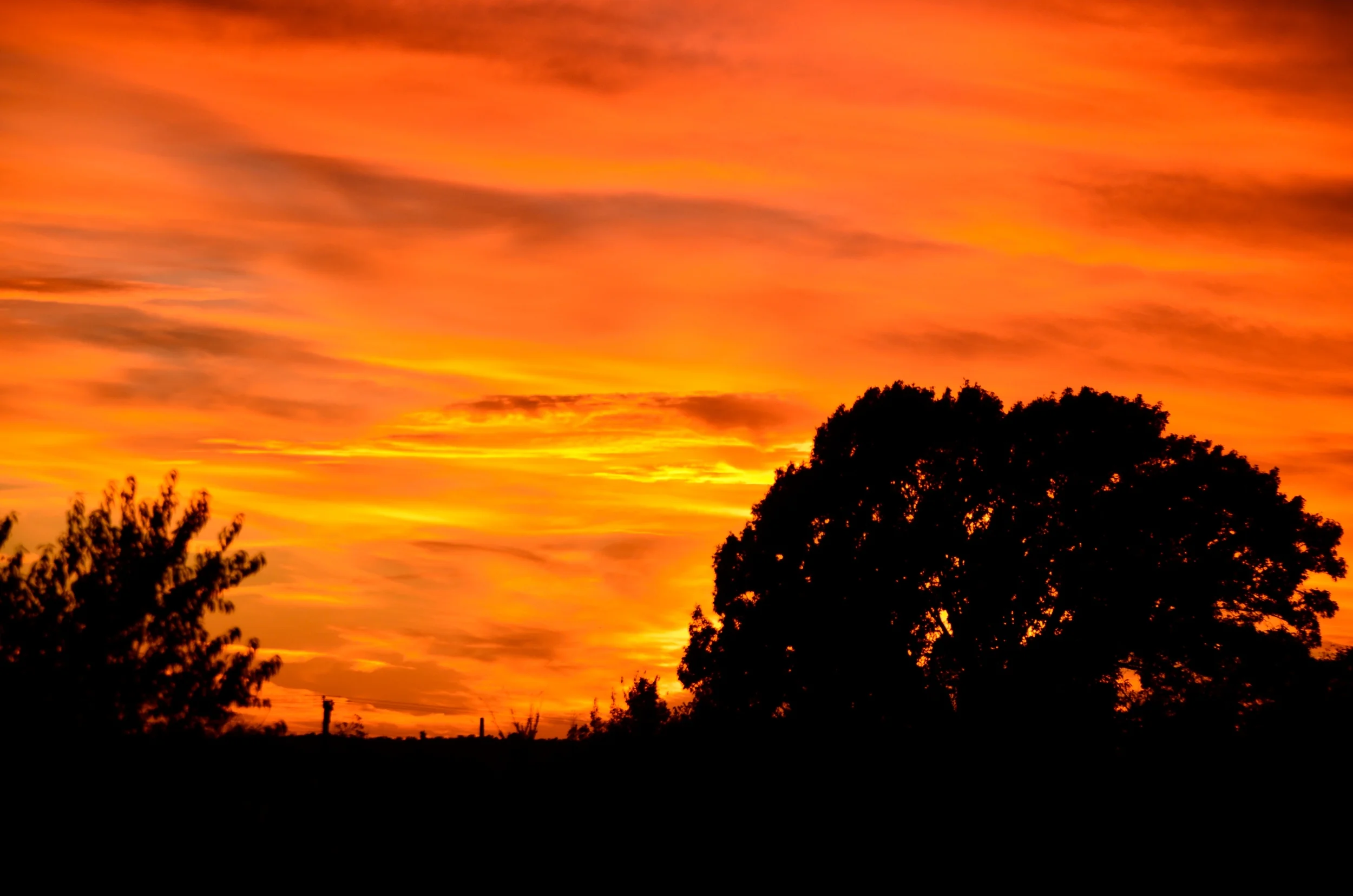 DSC_4846.JPG