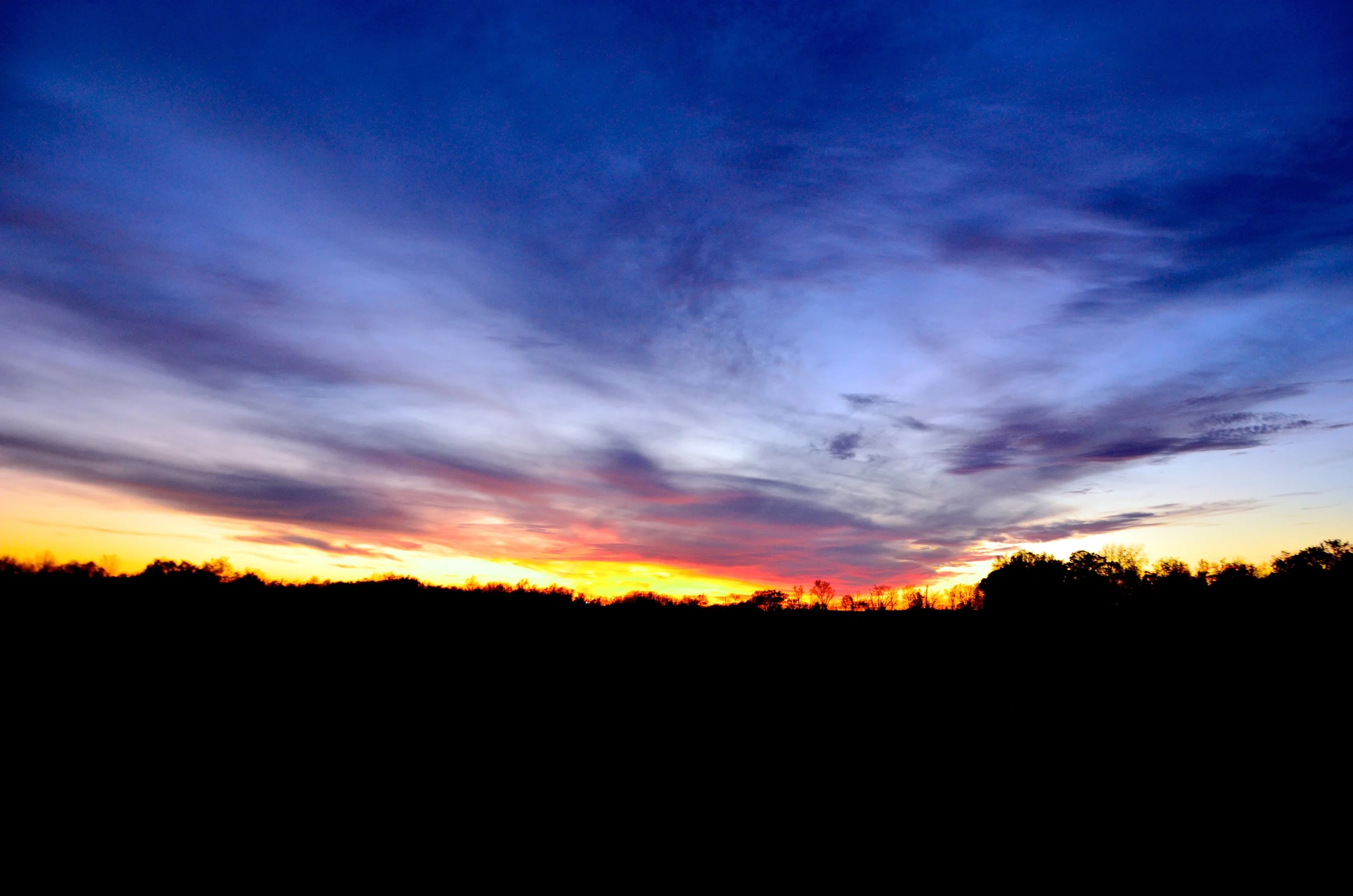 DSC_4863.JPG