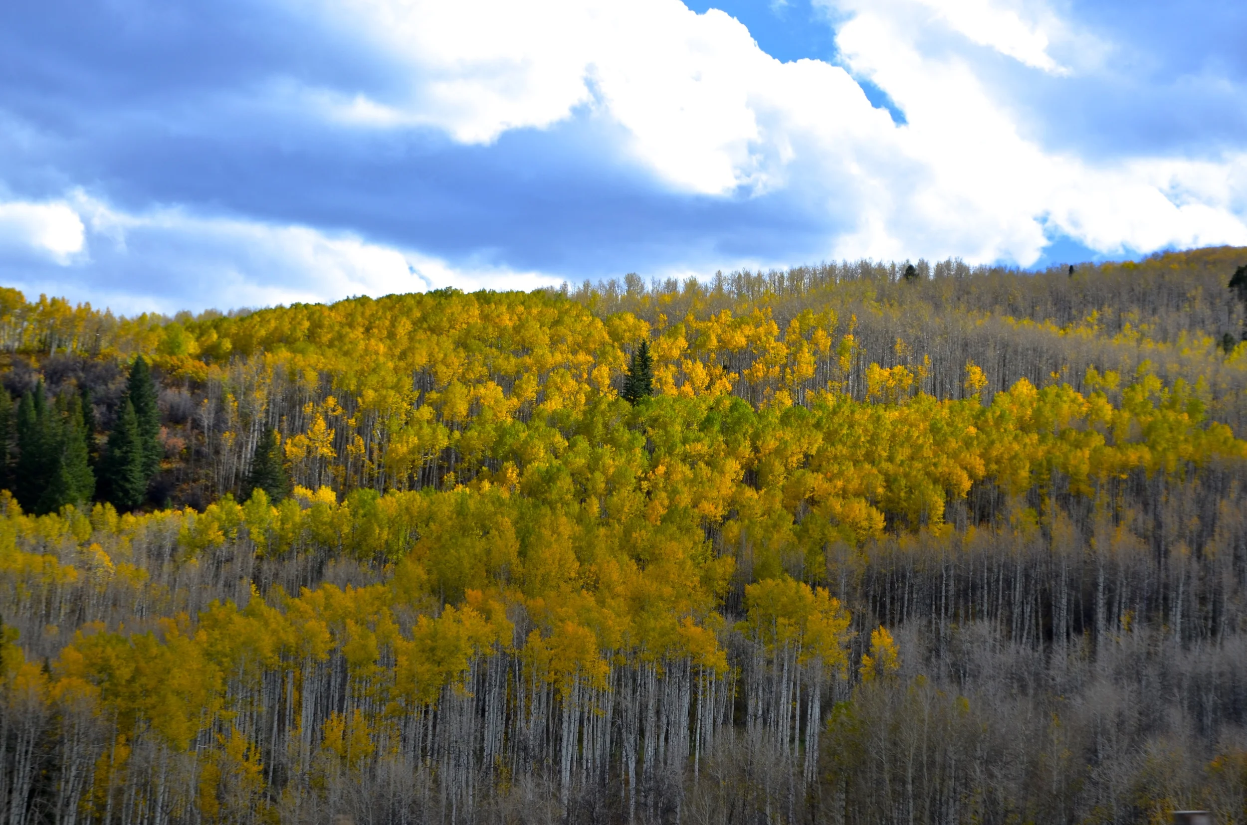 DSC_9774.JPG
