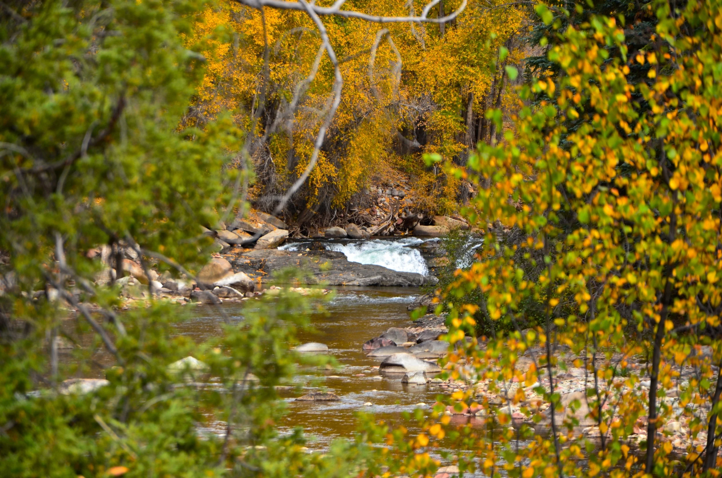 DSC_0177.JPG