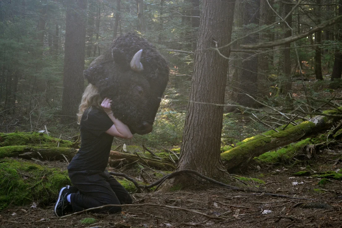 Bison_puttin_on.jpg