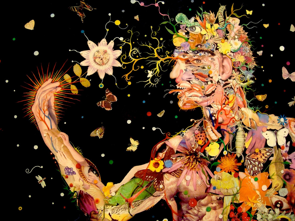 Artist: Fred Tomaselli