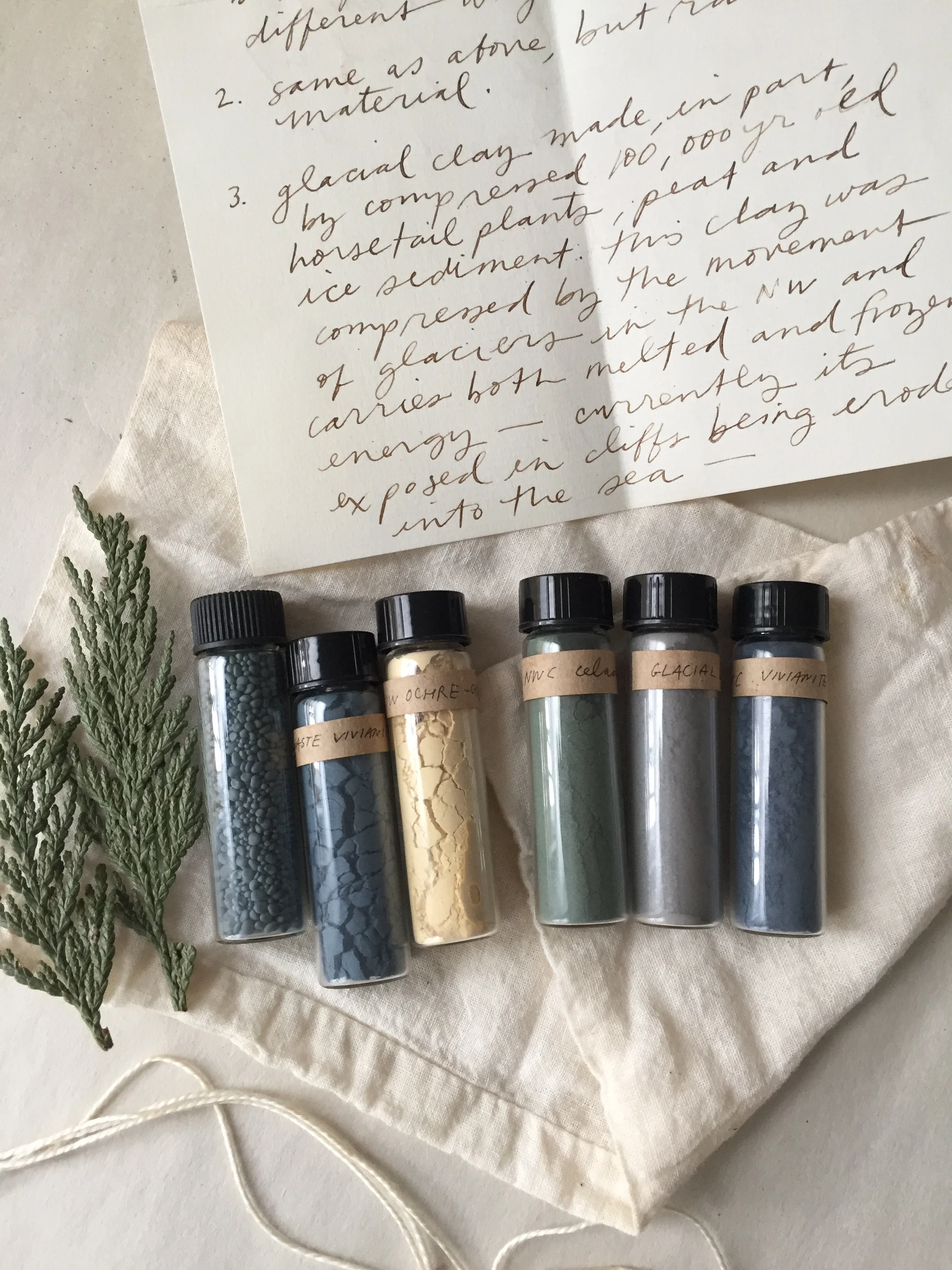Pigment Ecologies