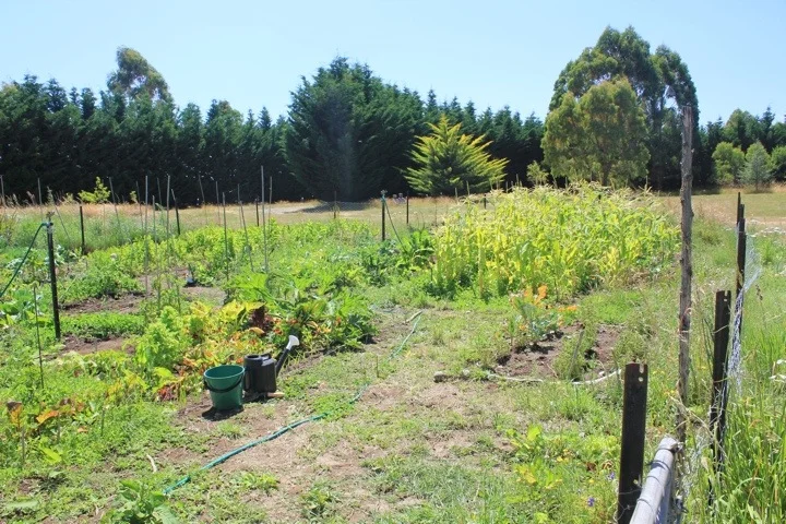 20120225-191810.jpg