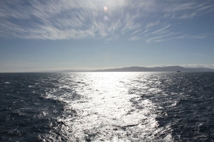 20120320-140235.jpg