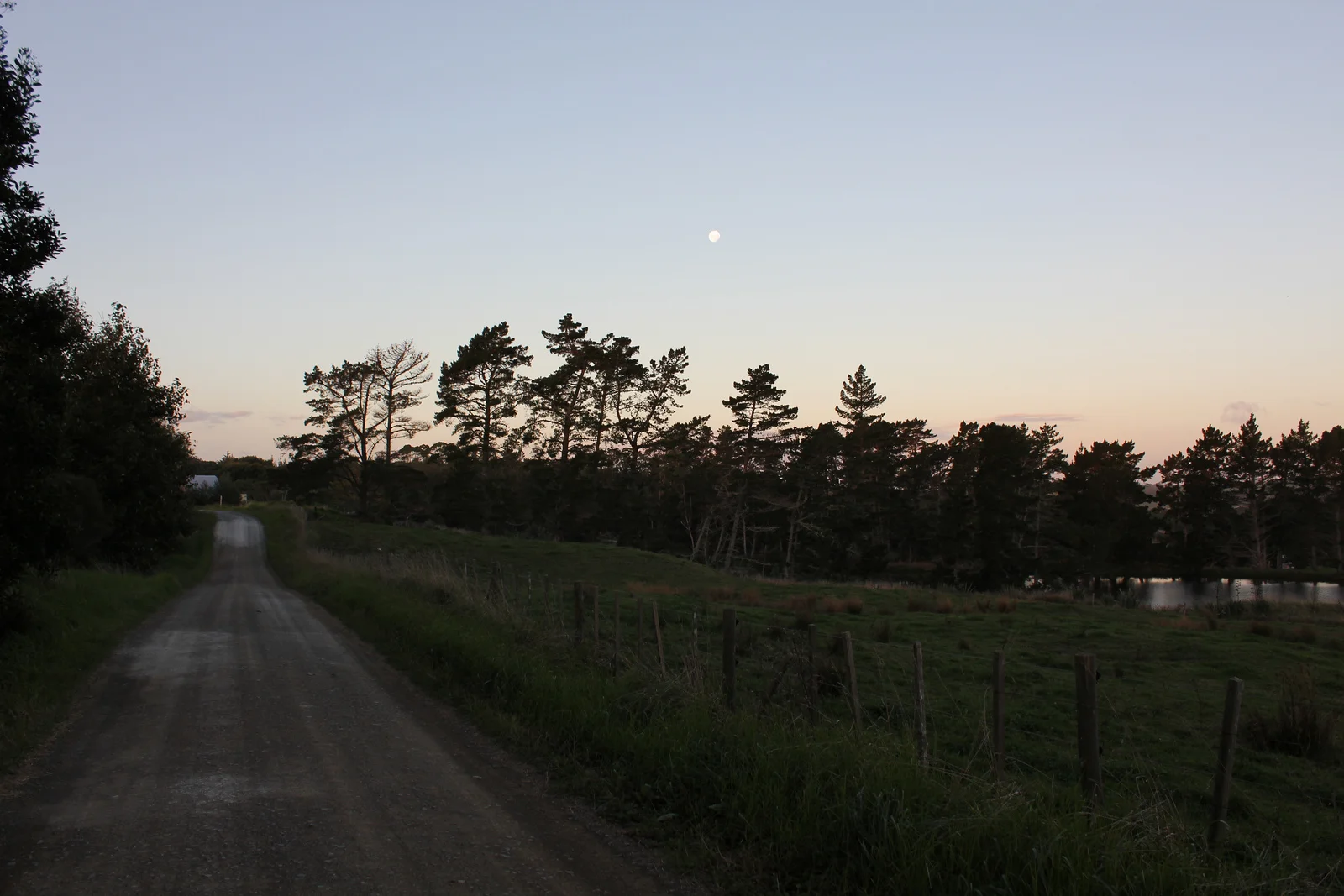 Night road at Pukahu