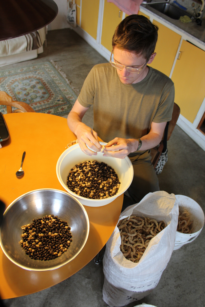 Shelling and separating beans - great meditation.