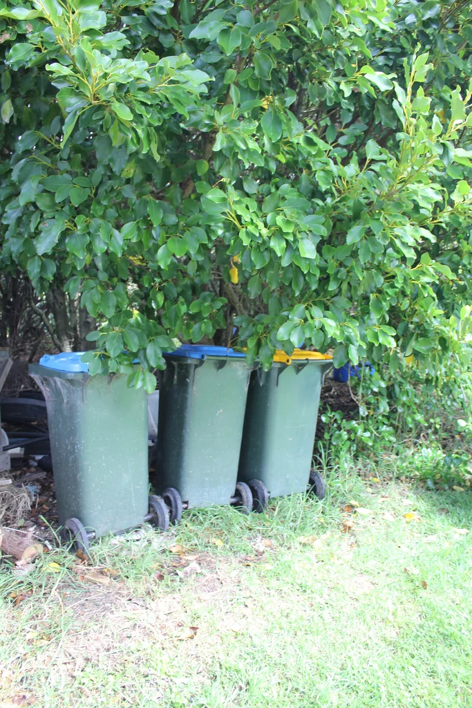 Where the compost begins it's curing journey.