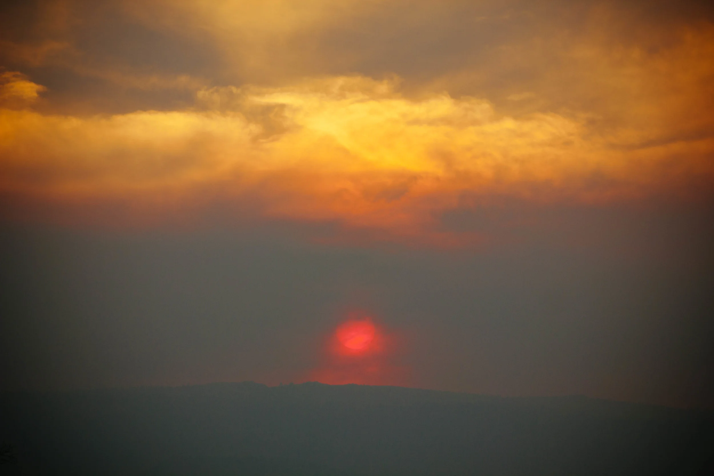Rim Fire (2013)