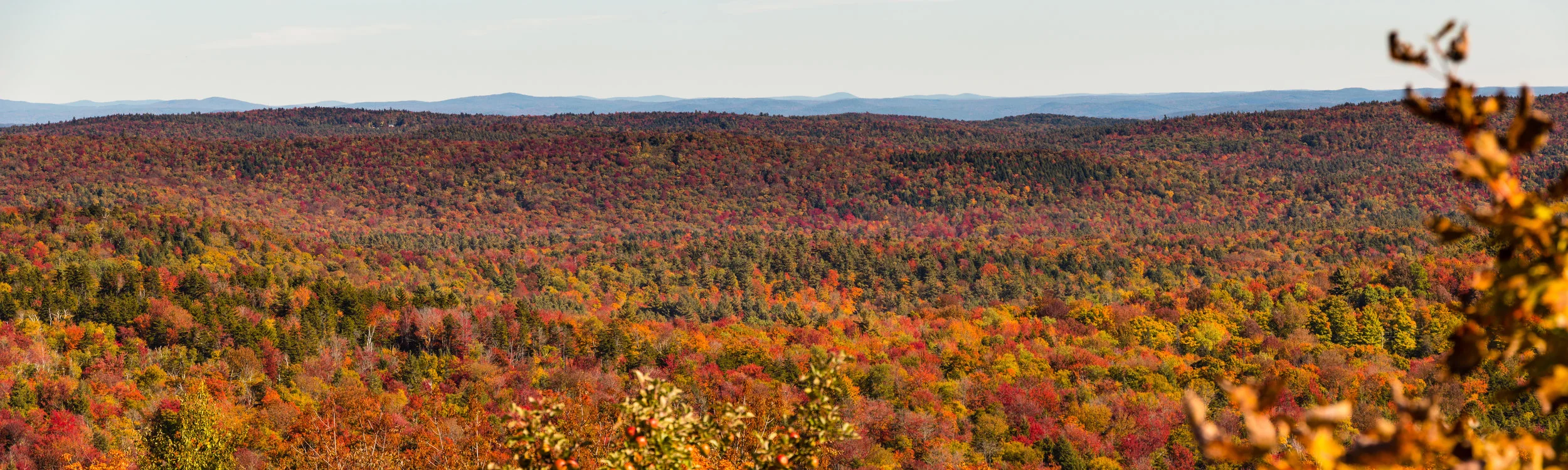 Vermont