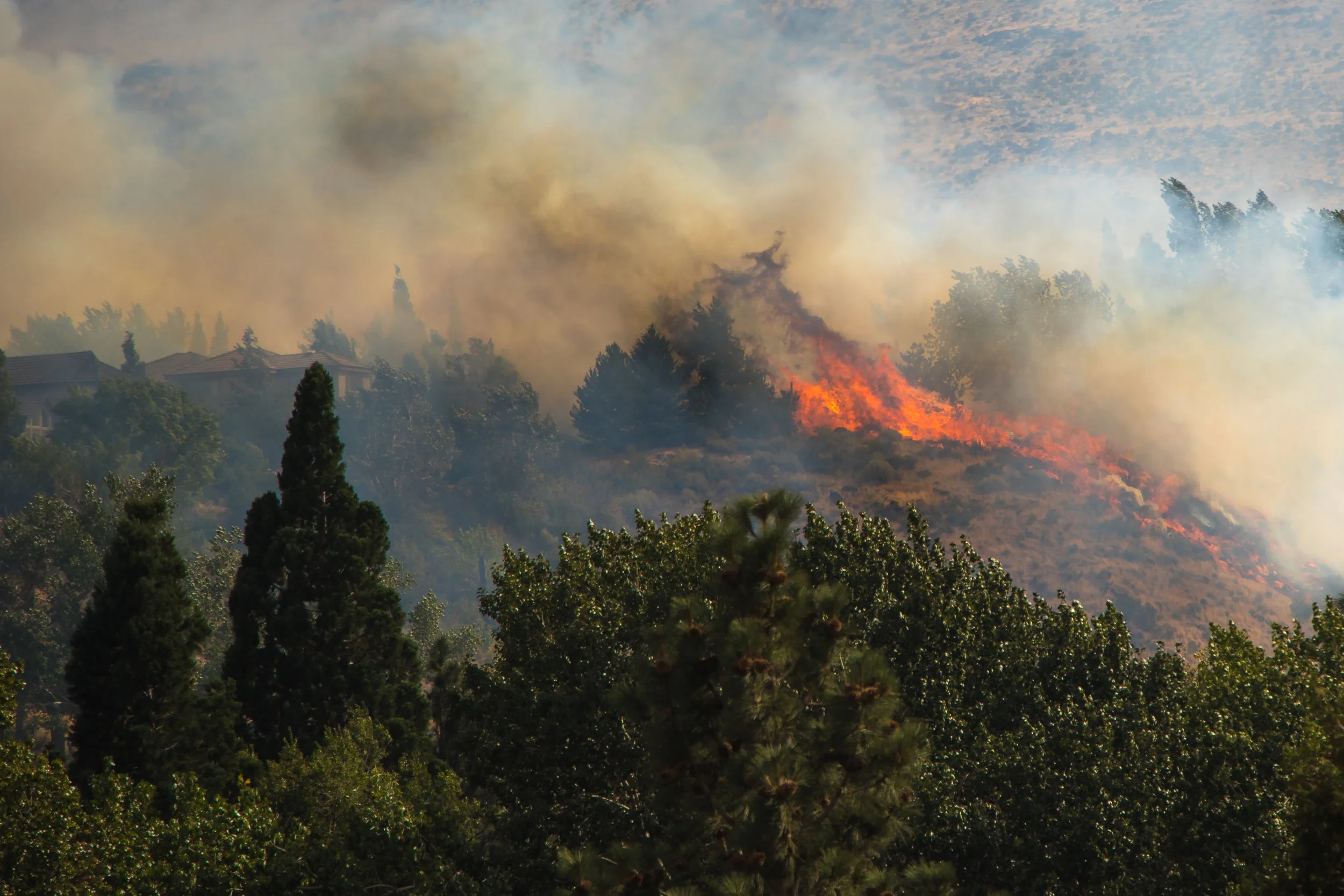 The Woodchuck Fire was a quick fire in the Juniper Ridge neighborhood in west Reno. It quickly threatened homes, but ultimately only a few fences were damaged.