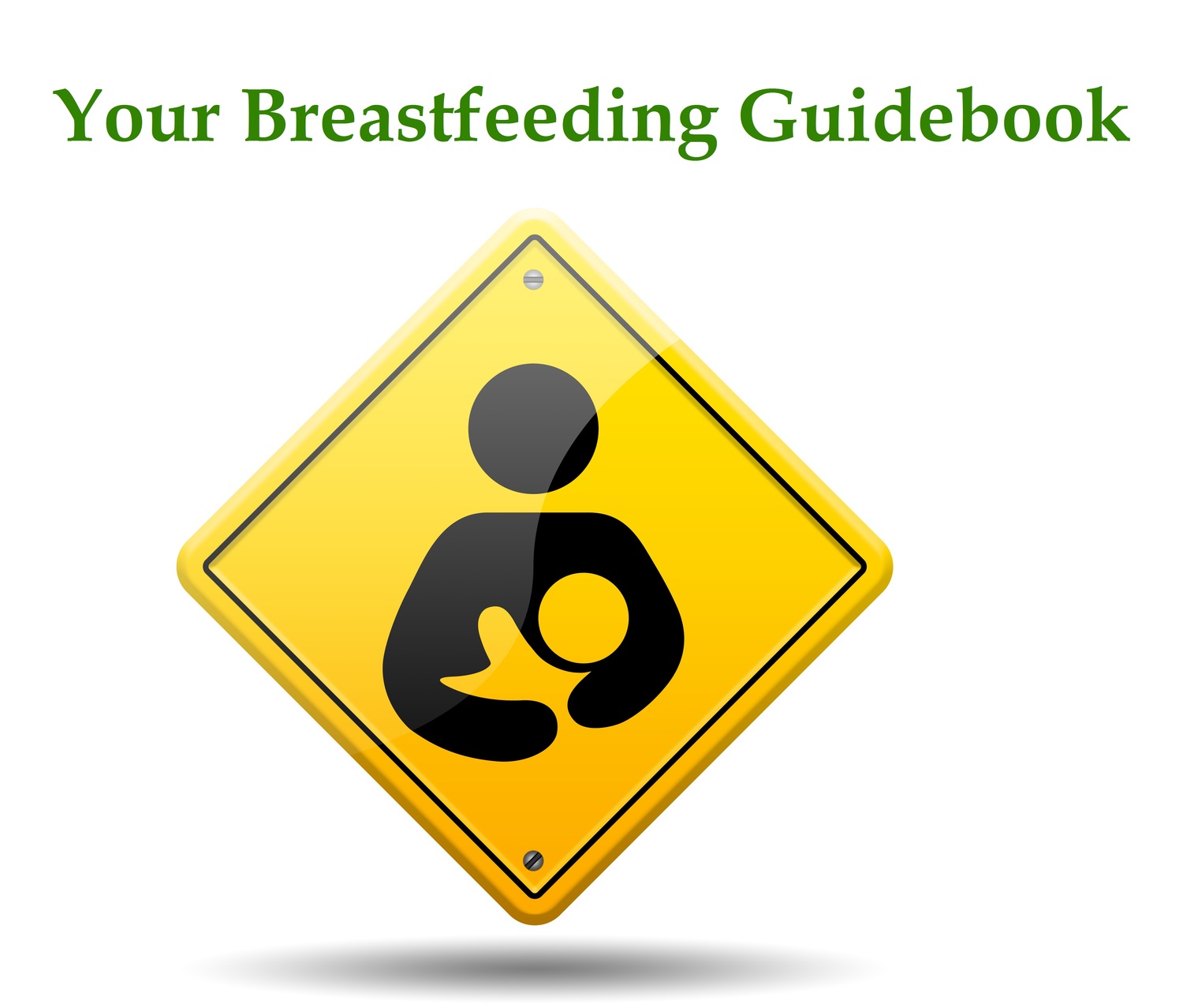 Your Breastfeeding Guidebook