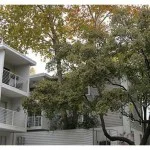 3711 Holland Ave #204 .jpg