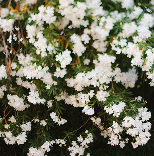 Simple wall art gift idea of a photography print. This photo is by Arrow and Apple.