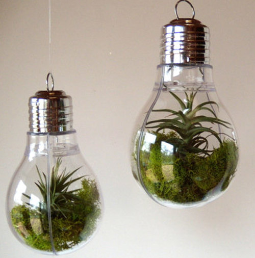 Simply Gifted: Terrarium light bulb ornament by Optical Conclusions.