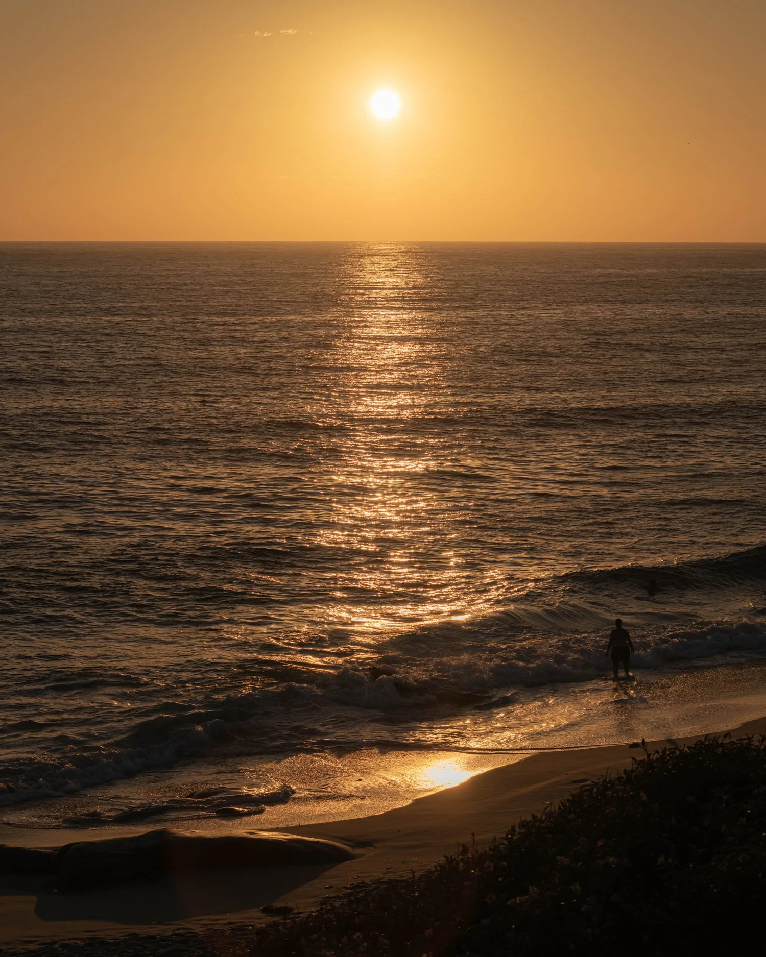 1464865-wk-50-best-beaches-windansea-9.png