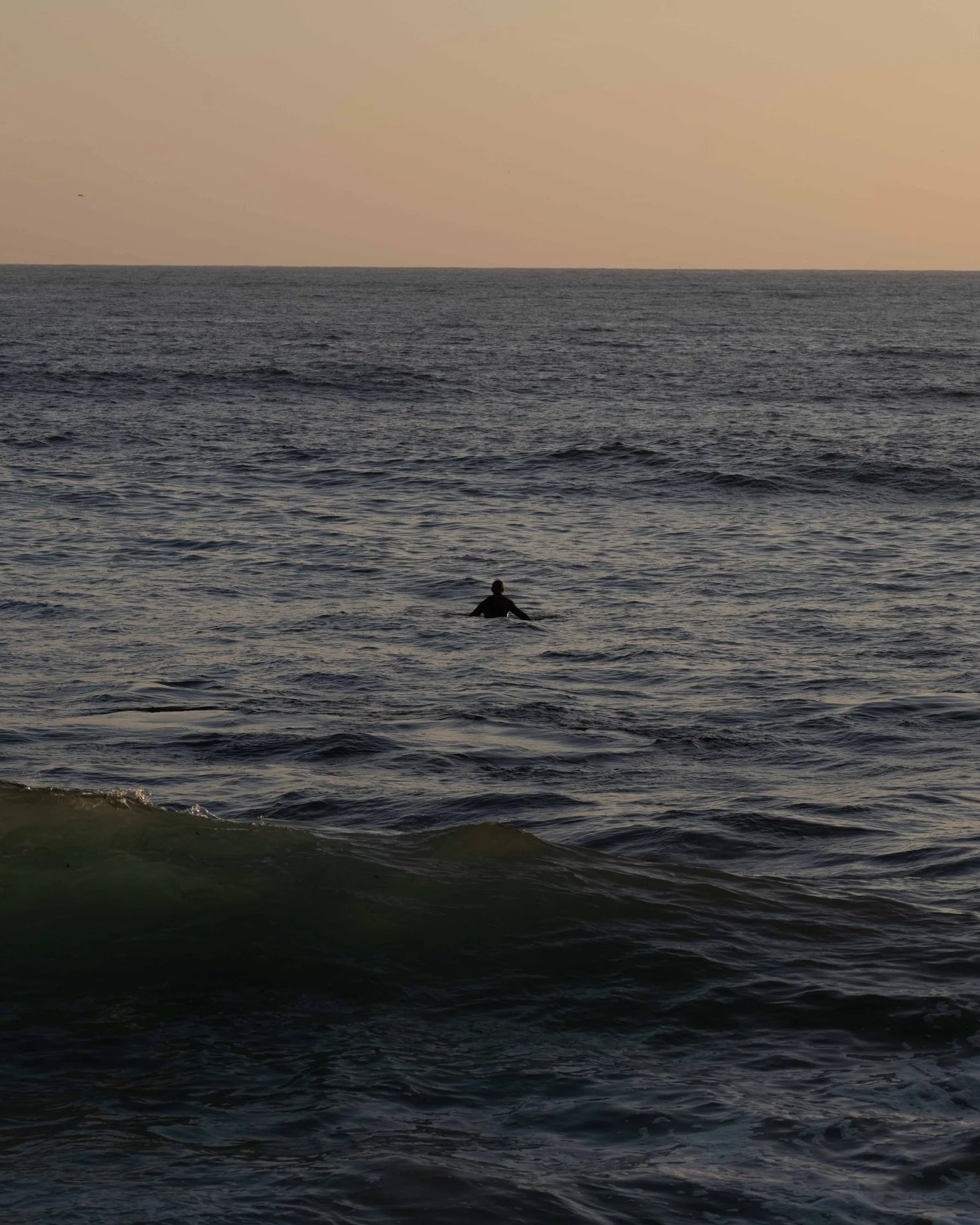 lat_beaches_an_windansea-lr-51.png