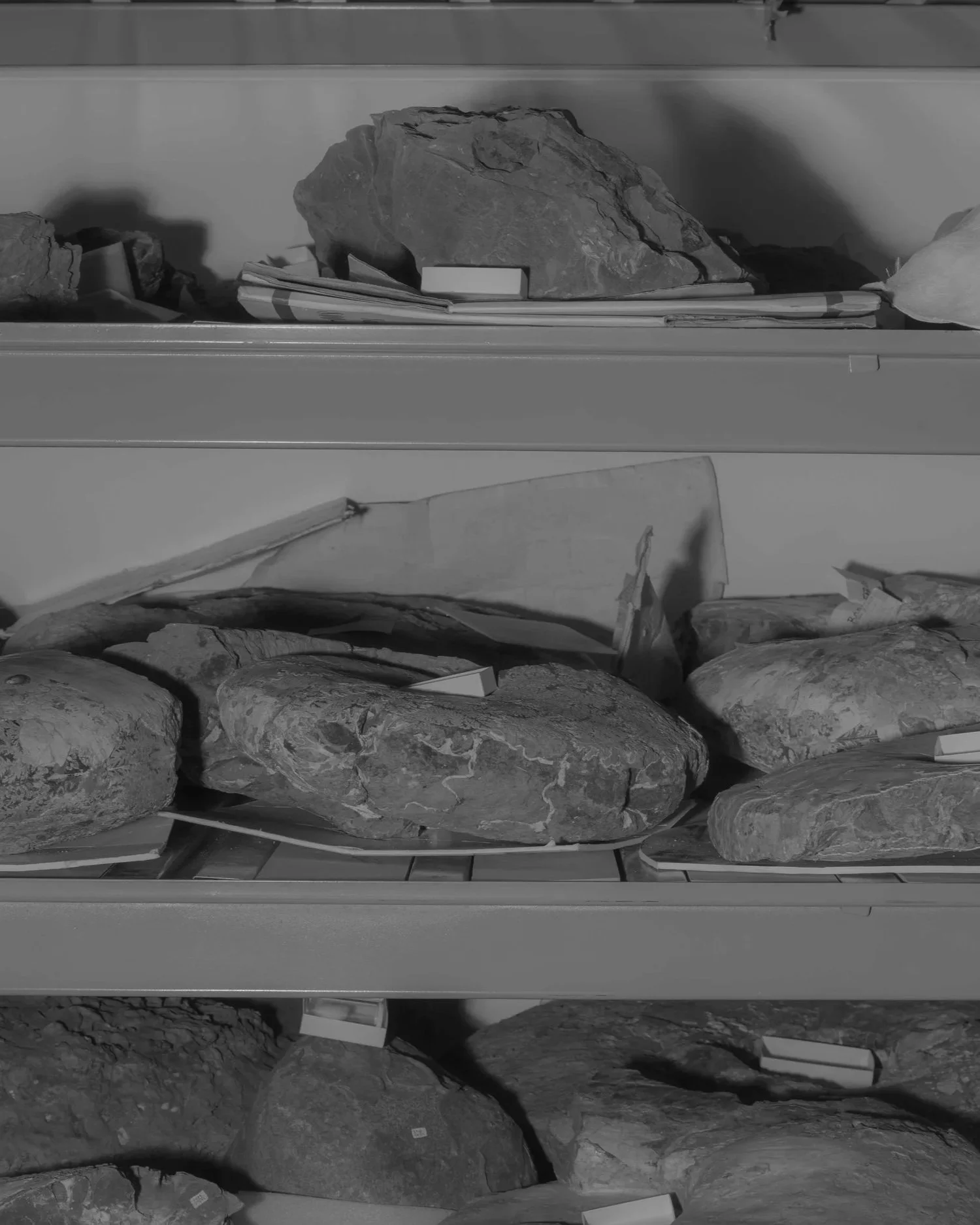 27sp-museums-sandiego-edit-examples-4.jpg