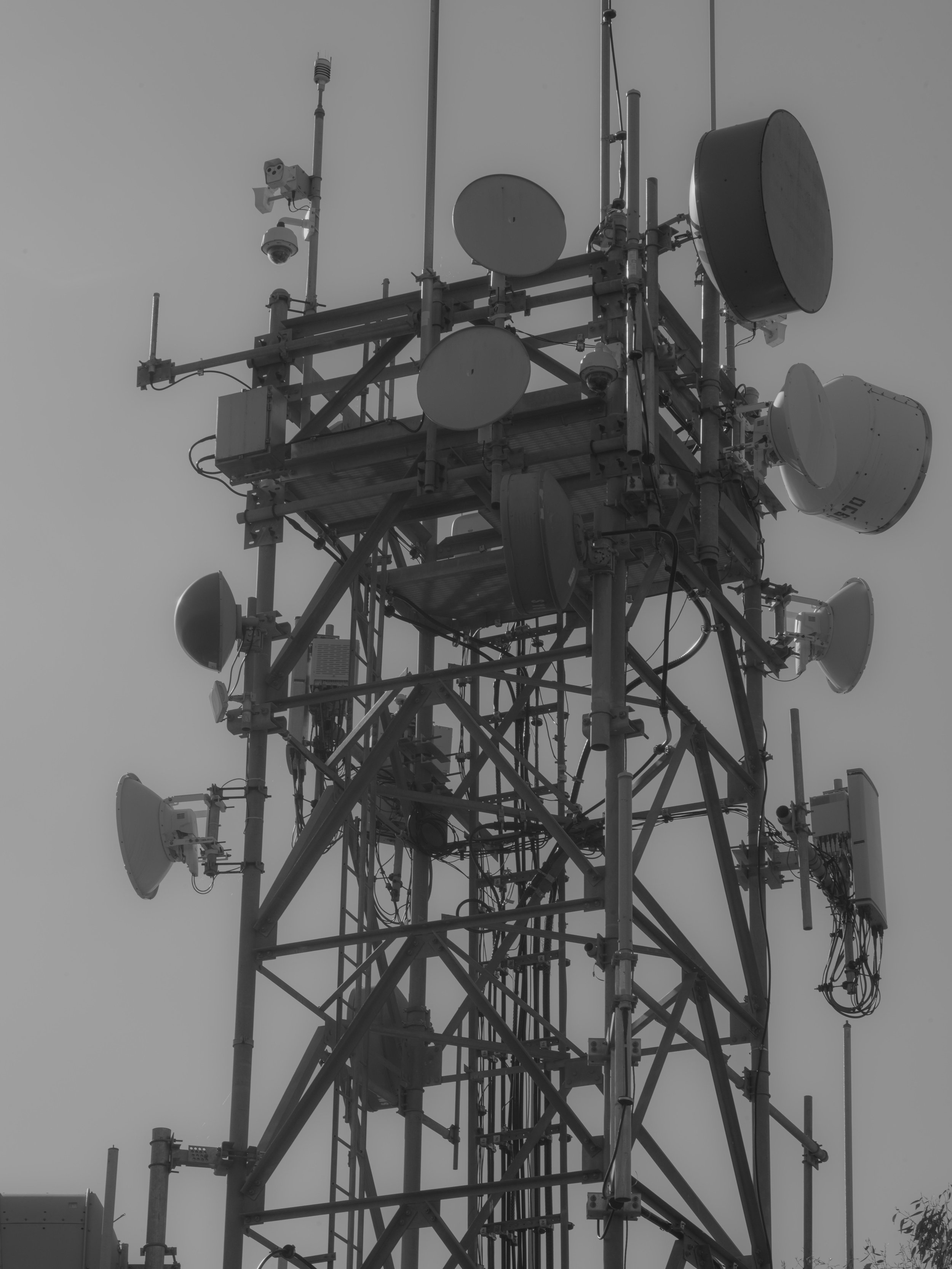 an_wsj_hr_020425-33.JPG
