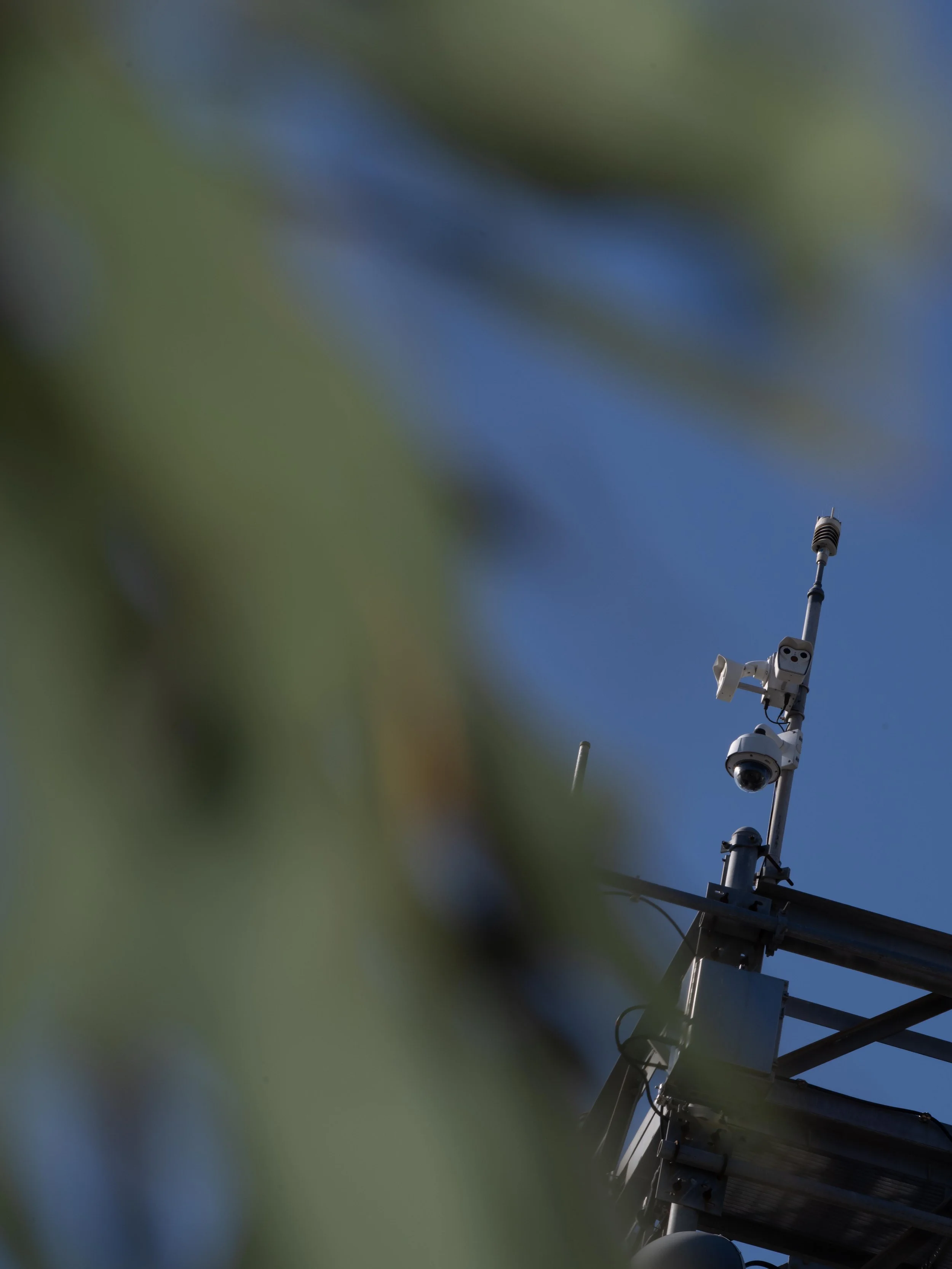 an_wsj_hr_020425-24.JPG