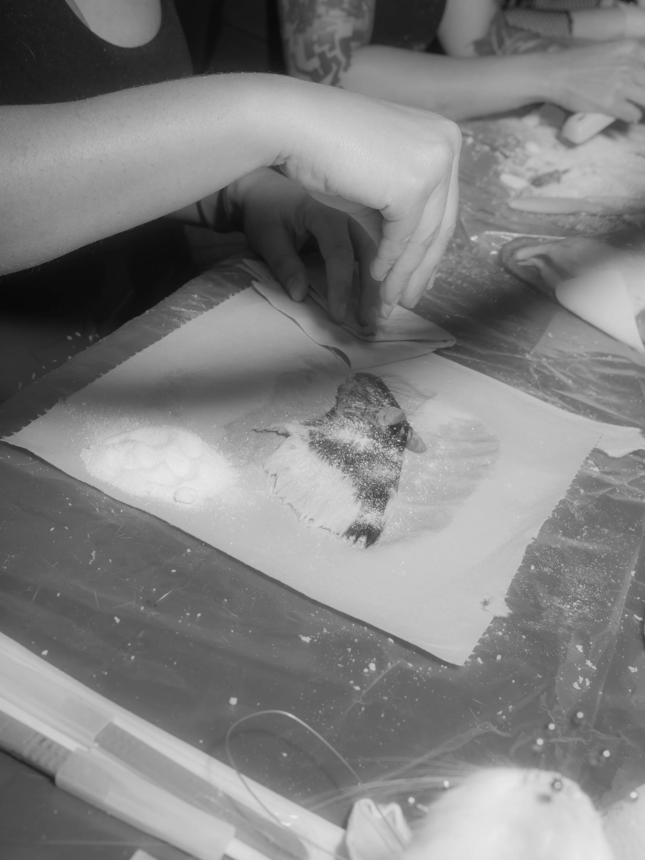 an_g_hr_051224_bw-29.JPG