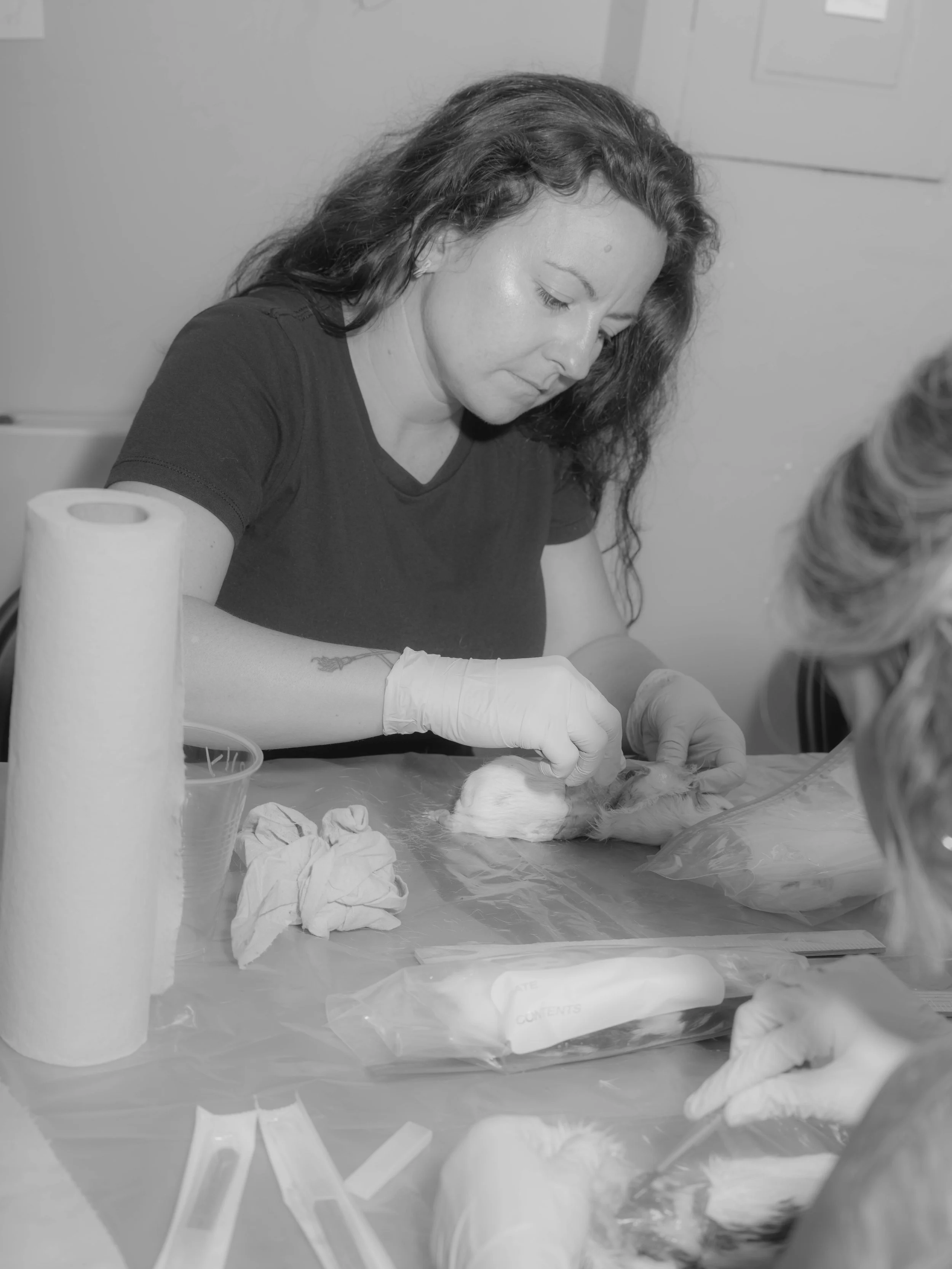an_g_hr_051224_bw-3.JPG