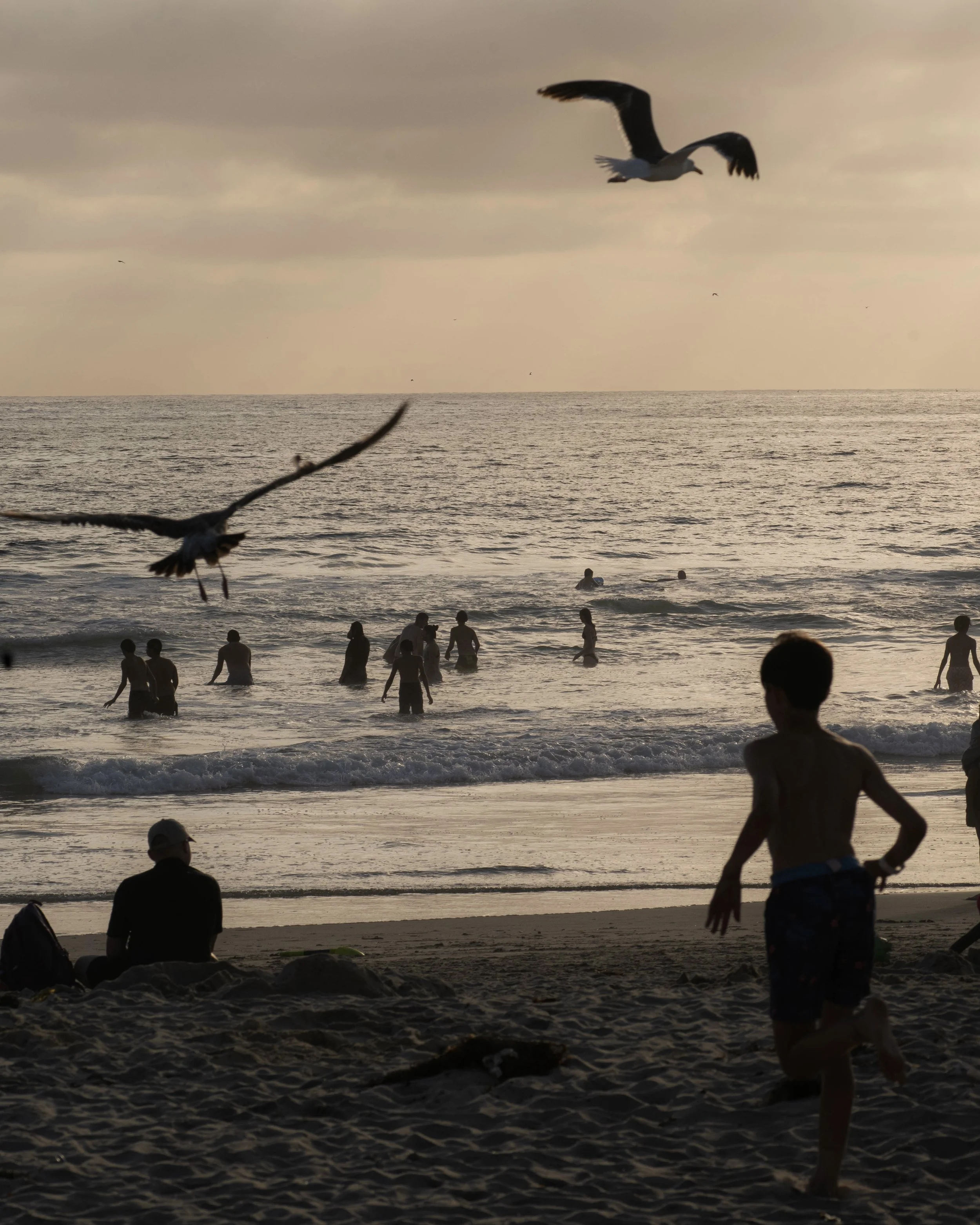1464870-wk-50-best-beaches-belmont-park-15.jpg