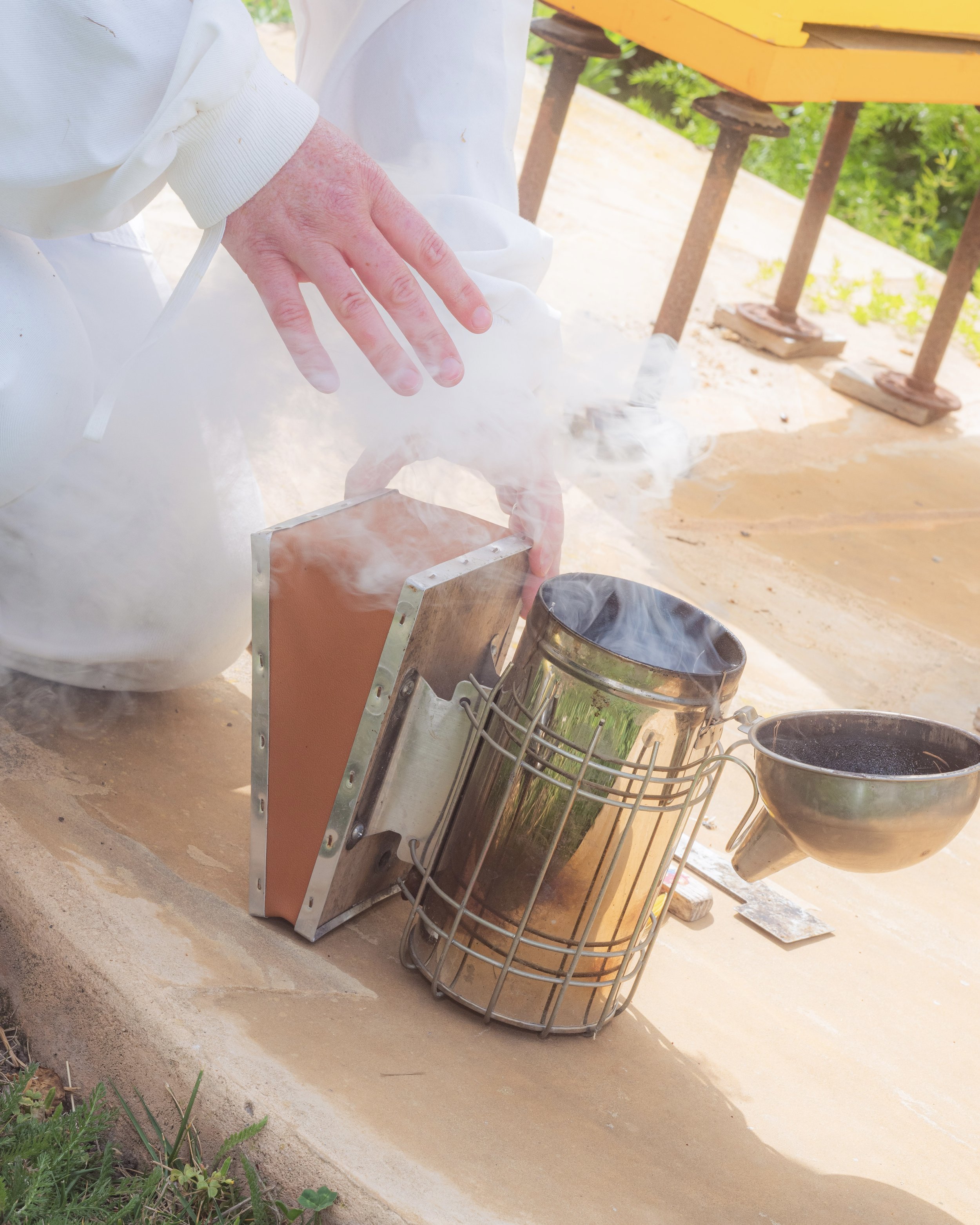 2026-05-BeeKeeping-ANakkash-1.jpg
