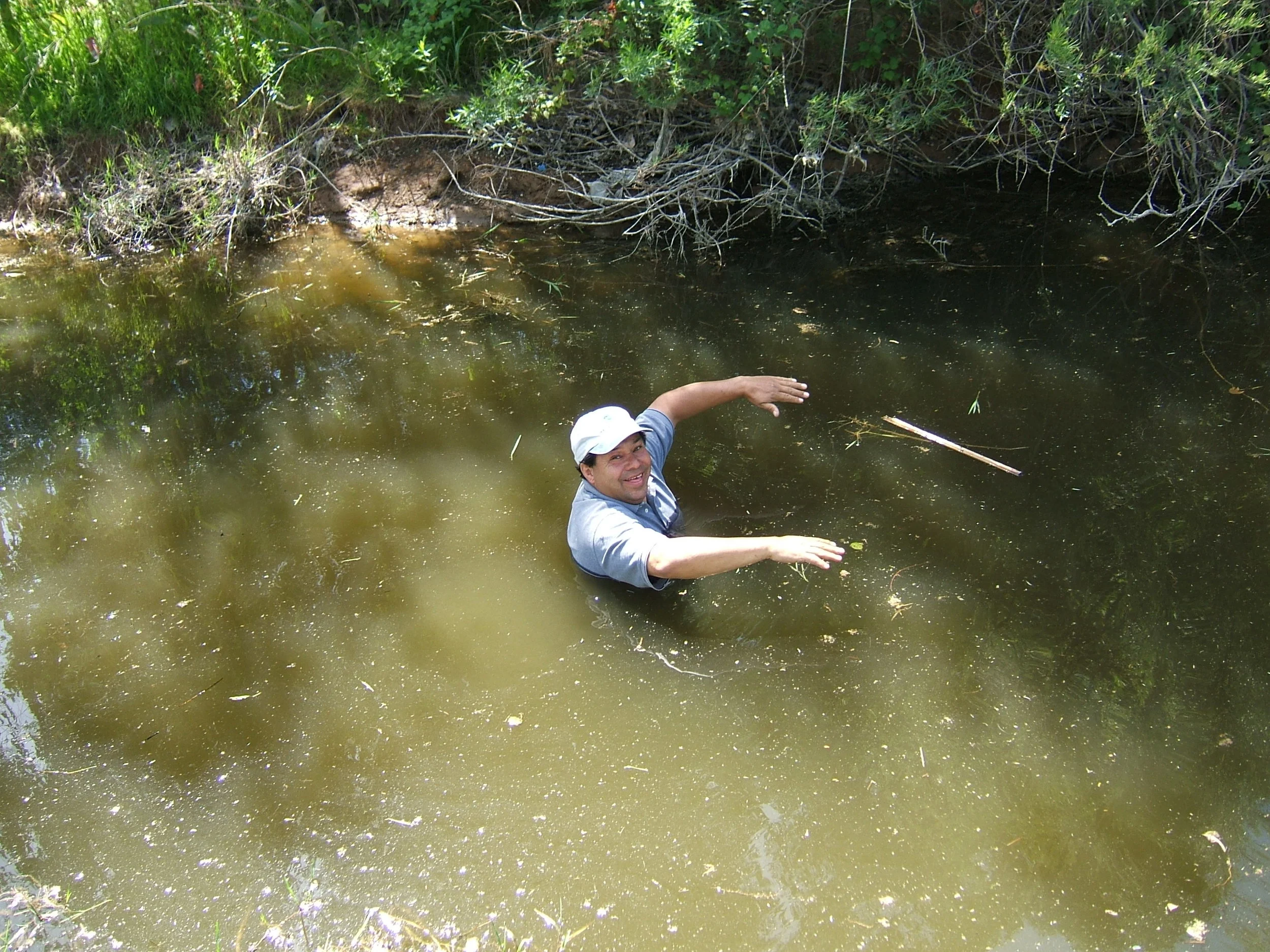 9 Uvas Creek Steelhead Rescue Scout.JPG