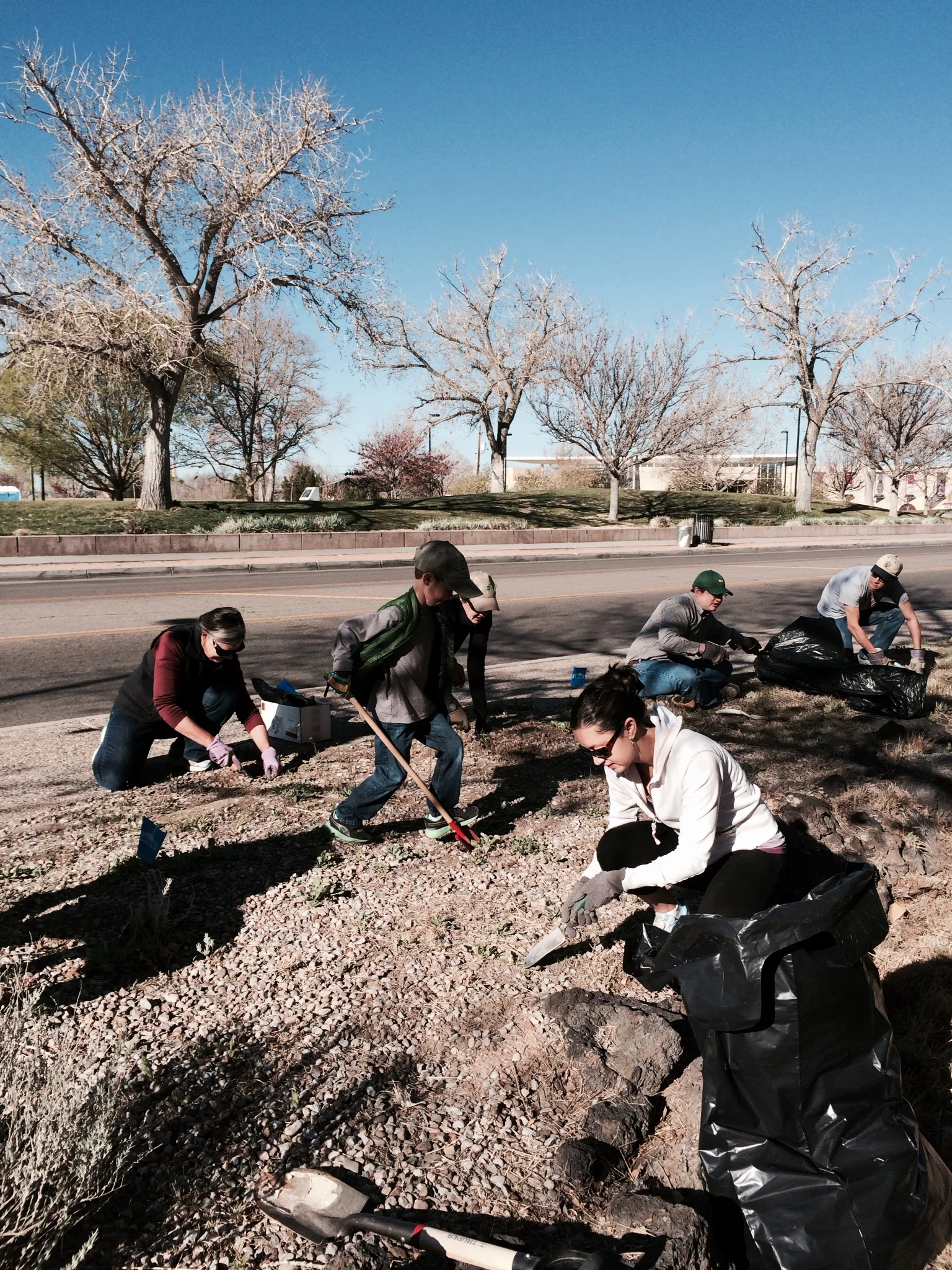 Natural History Museum - Improving A Walk Through New Mexico Outdoor Exhibit