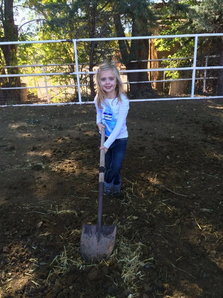Mandy's Farm Autumn Event