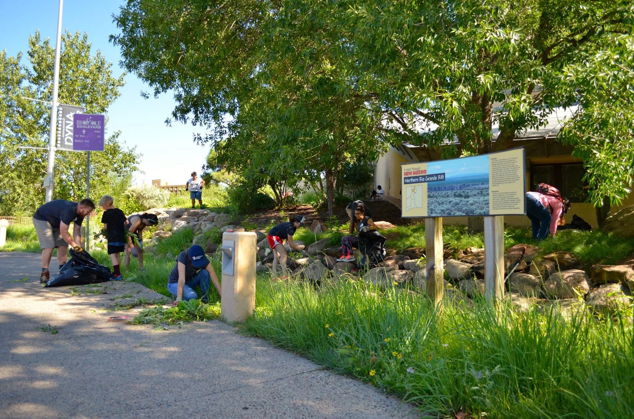 NM Natural History Museum Landscaping Project