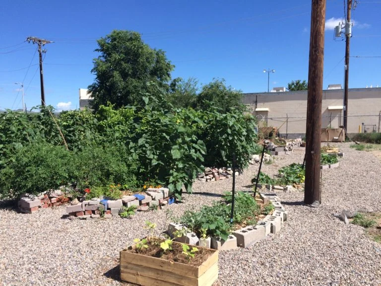 Hunger Relief Community Garden