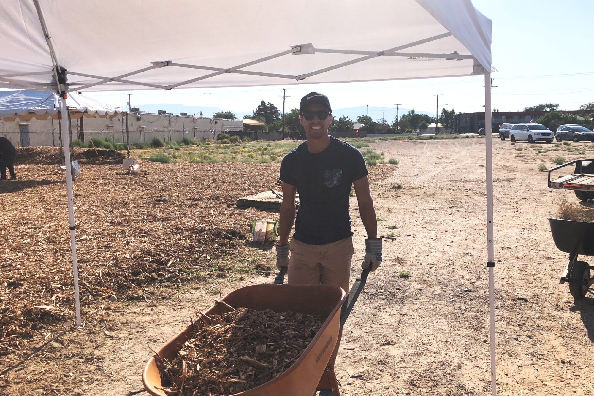 Clean up at Paws and Stripes