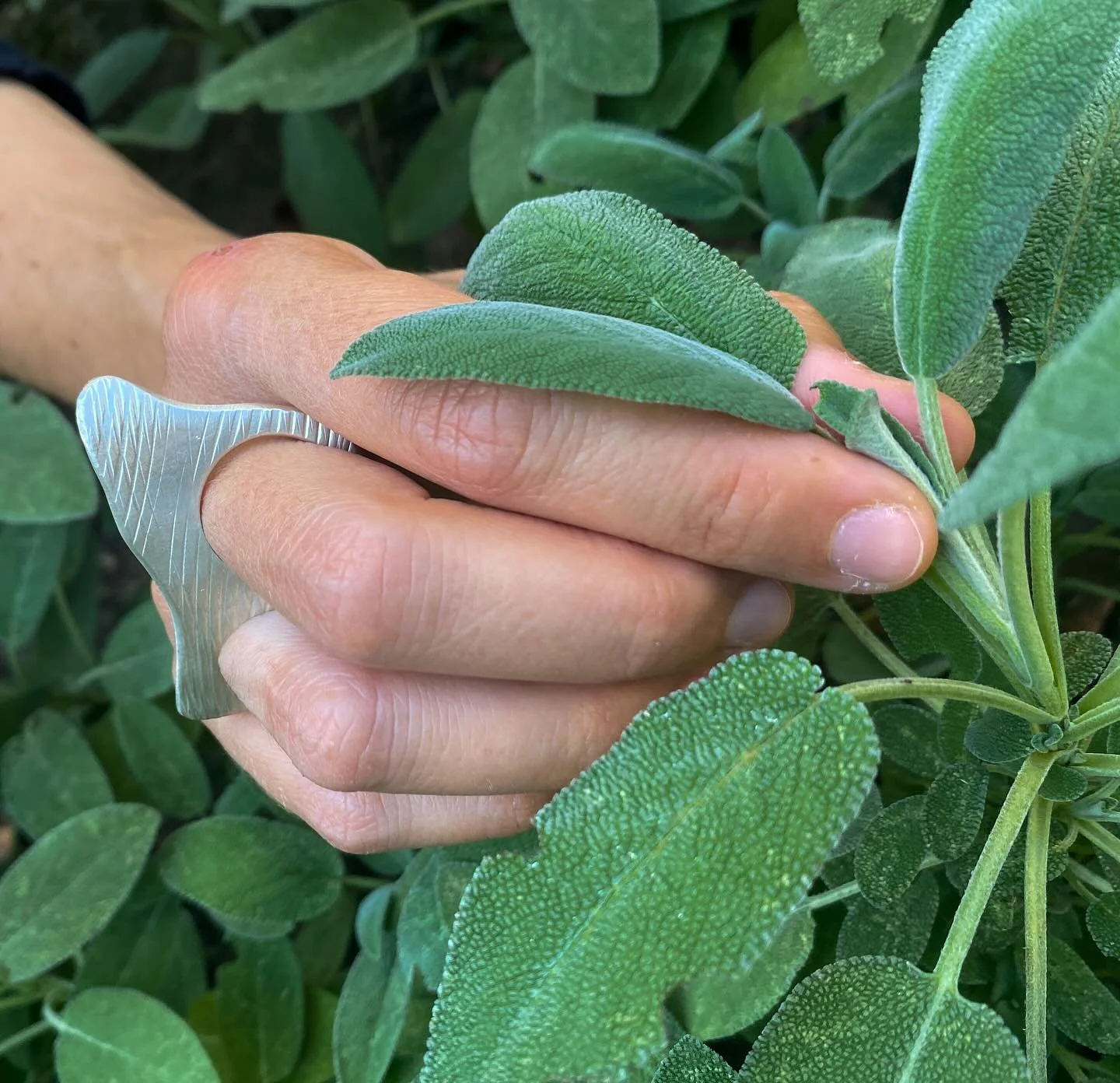 Inspired by the erosion of coastal cliffs, the Erosione two-finger ring captures nature&rsquo;s artistry in wearable form. Handcrafted in silver or bronze, each piece is a bold echo of time and tide. Wear one for subtle edge&mdash;or stack both metal