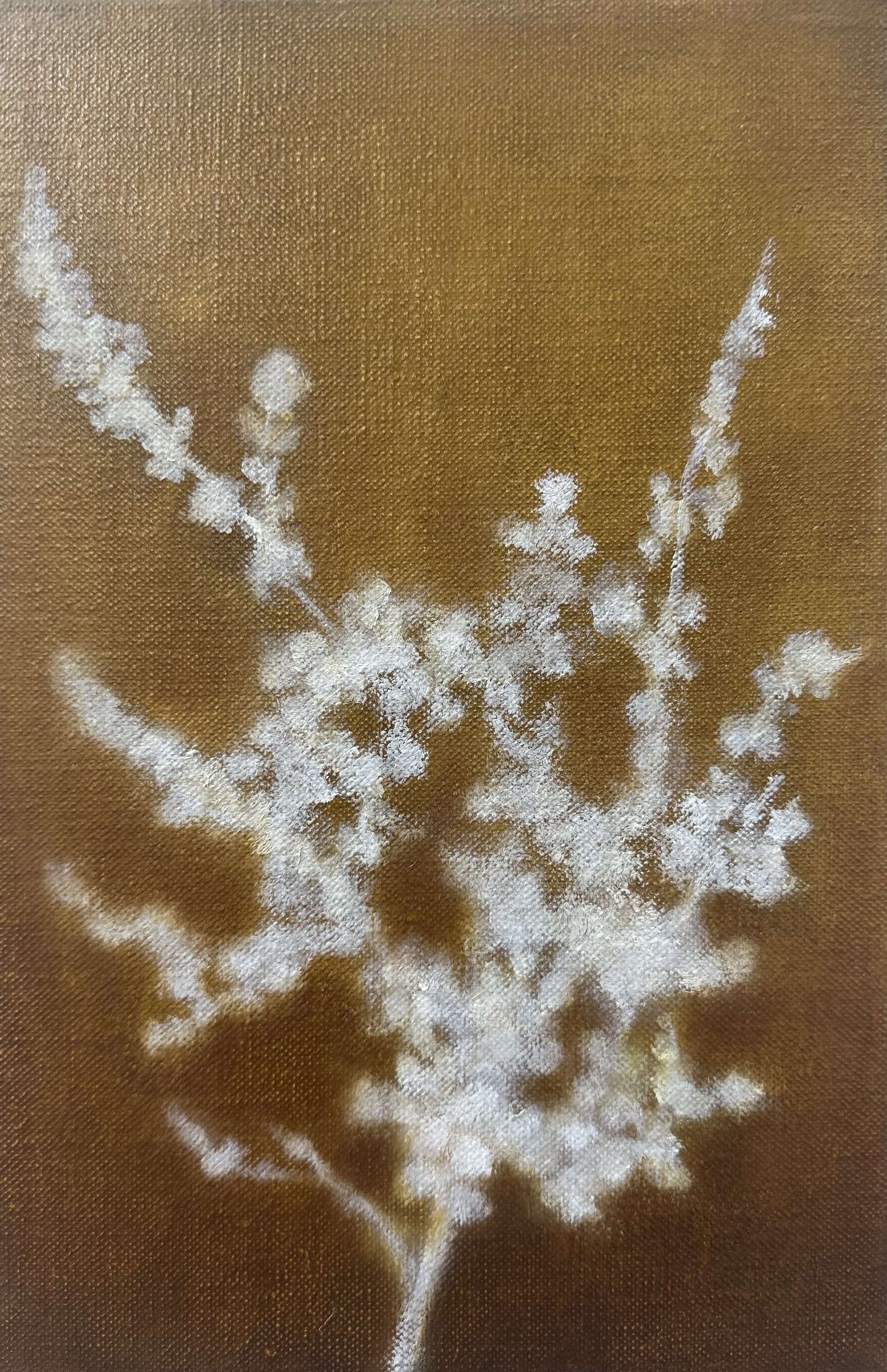   Ground cover IV  2026 oil on linen canvas 30 x 20 cm 