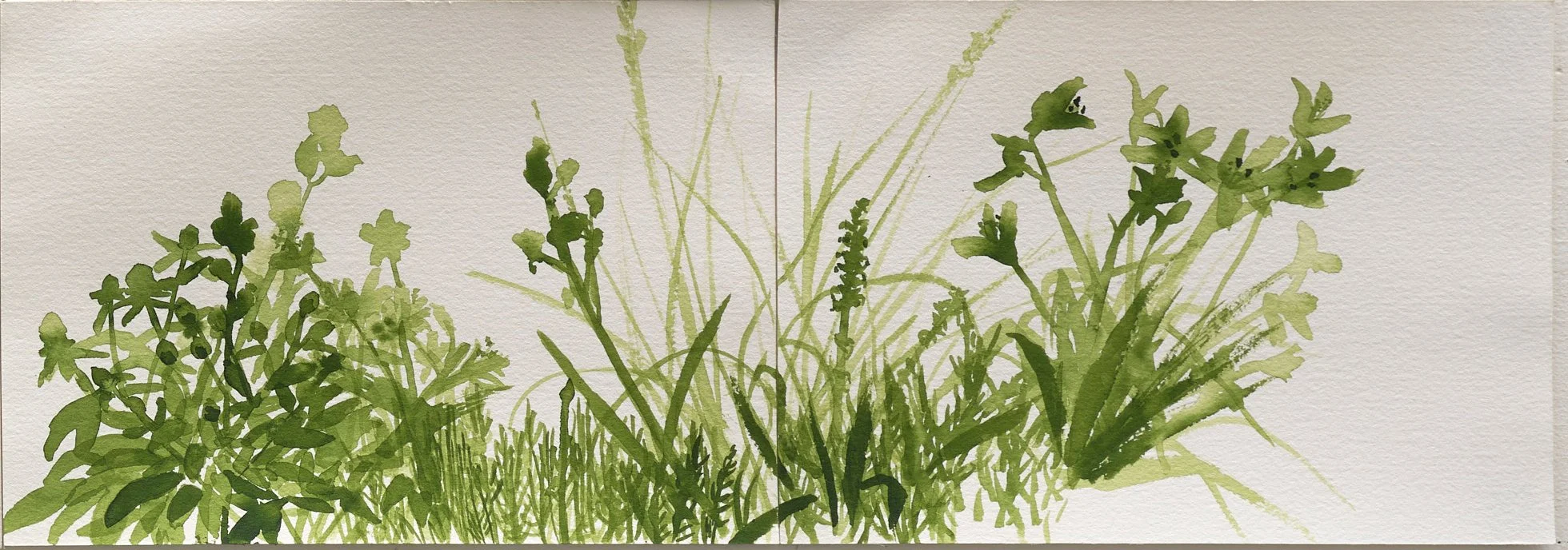   Tuileries Paris II  2025 ink on paper 15 x 42 cm 