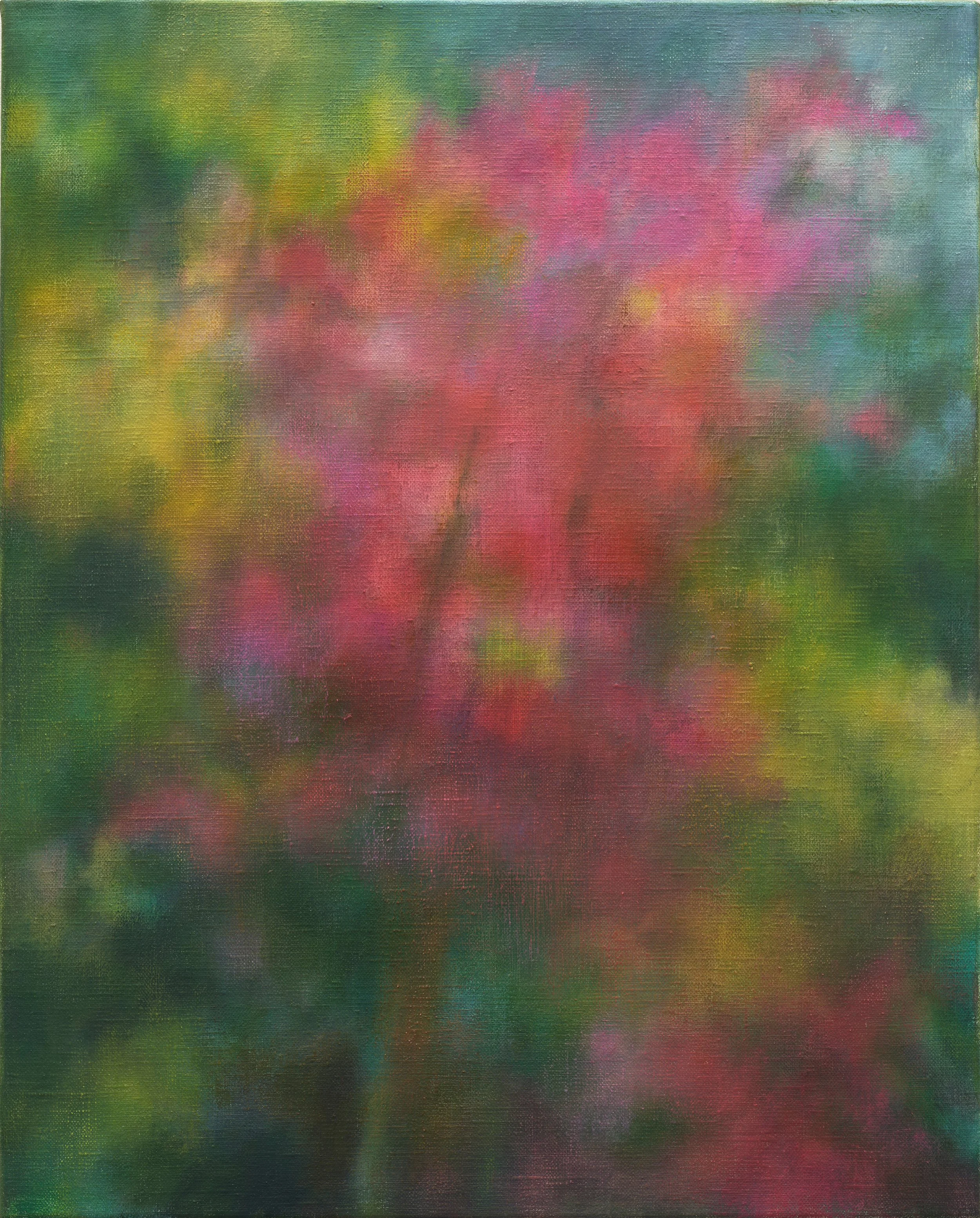   Meadow (pink)  2025 oil on linen 51 x 41 cm 